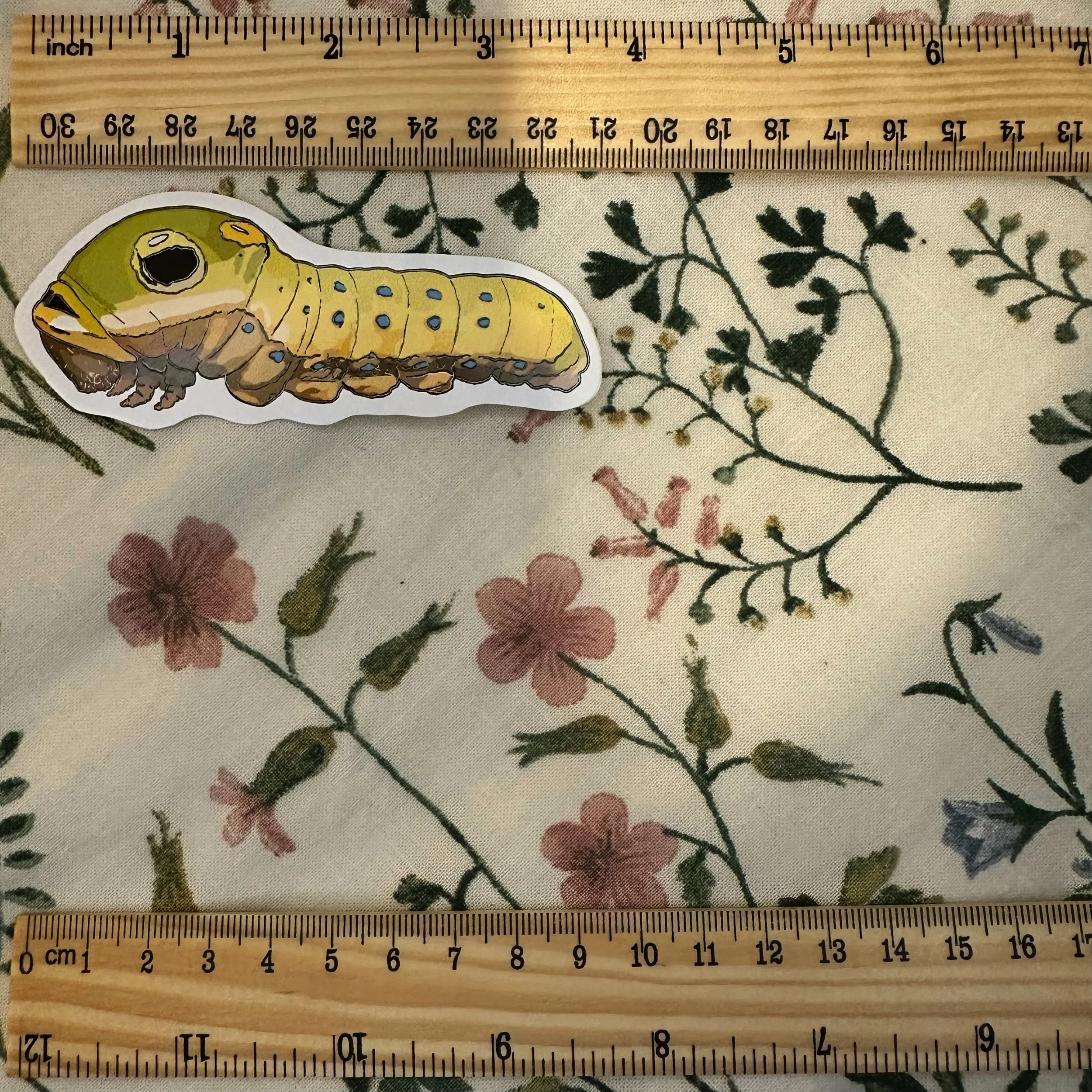 Spicebush swallowtail caterpillar sticker measuring about 4 inches long