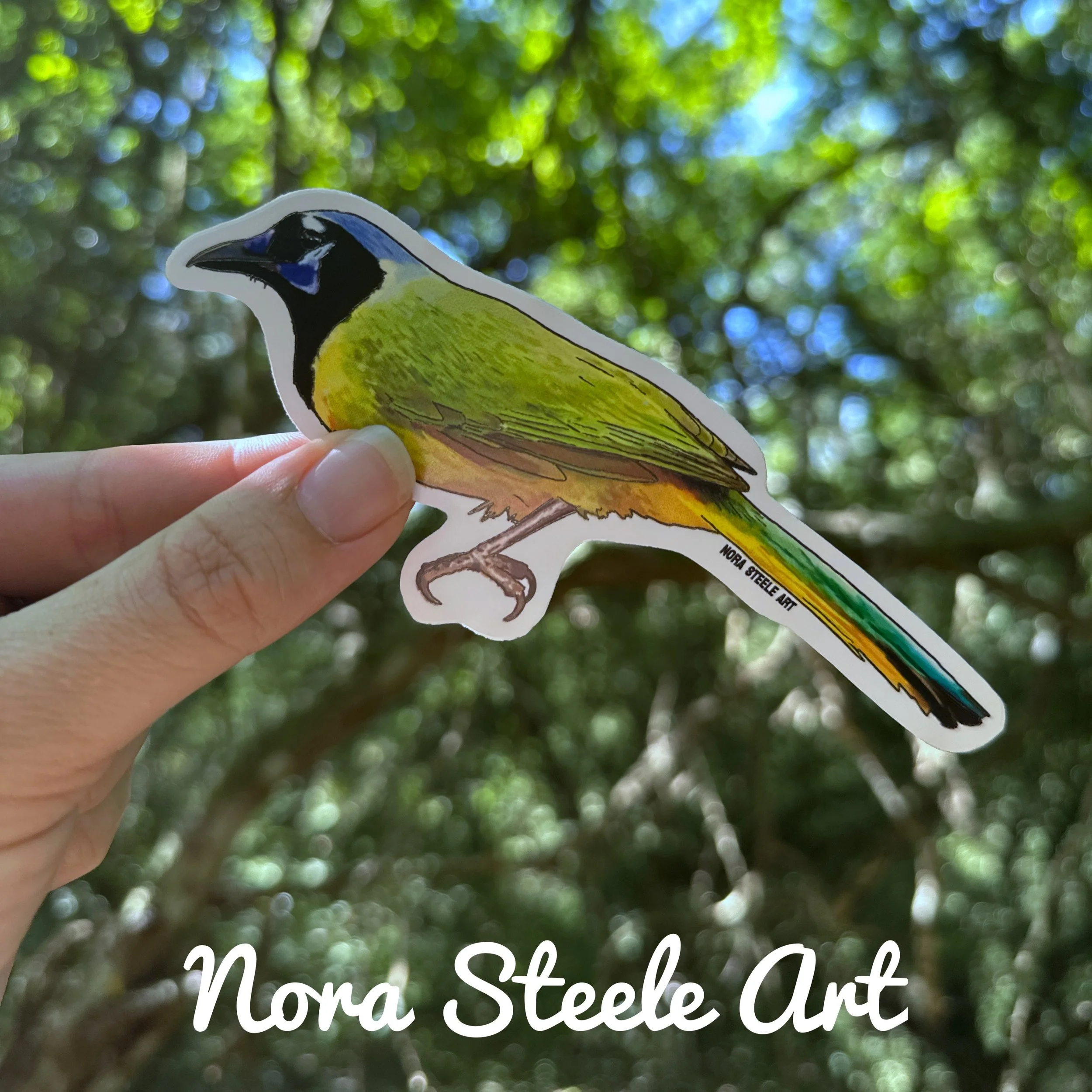 Waterproof Sticker - Green Jay