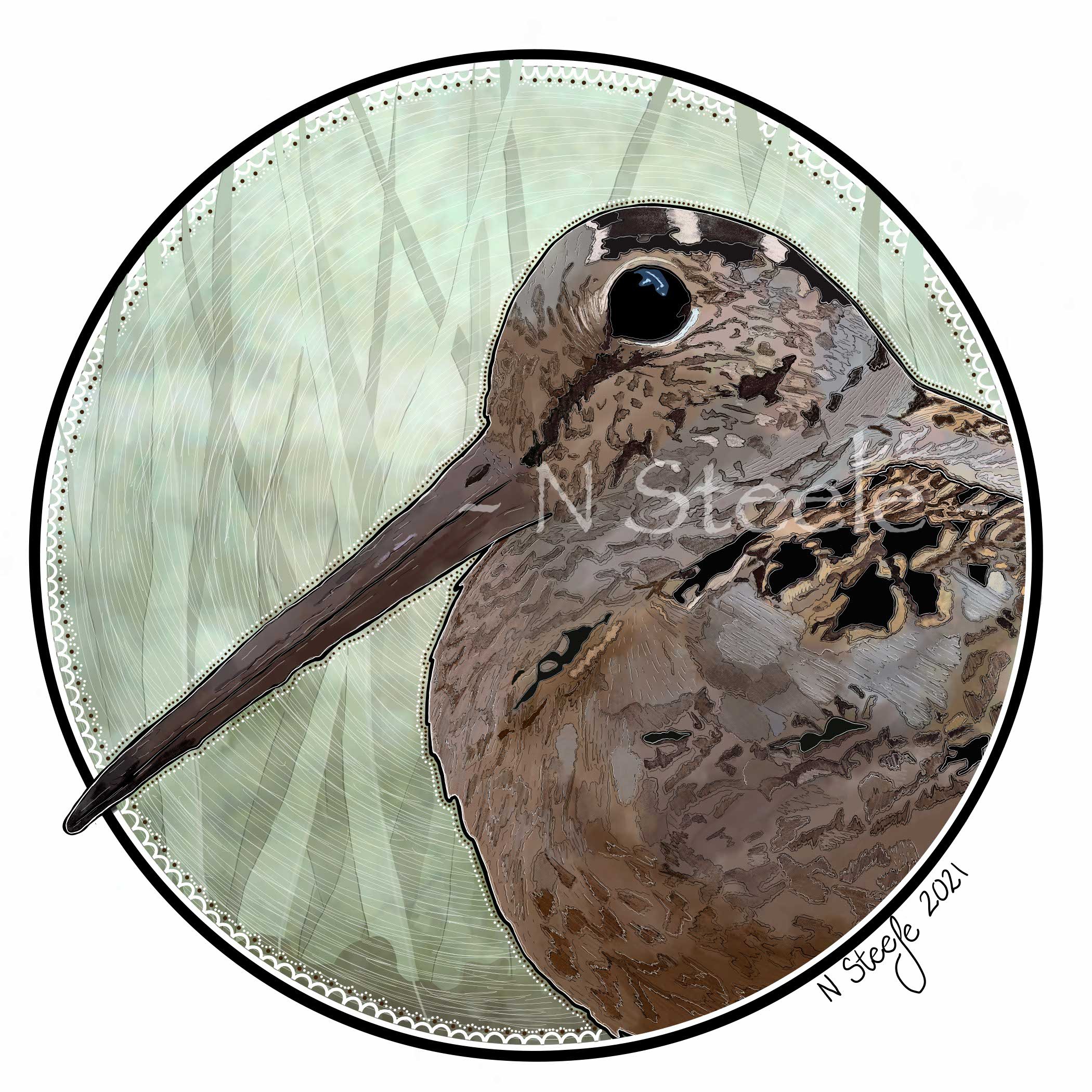 American Woodcock