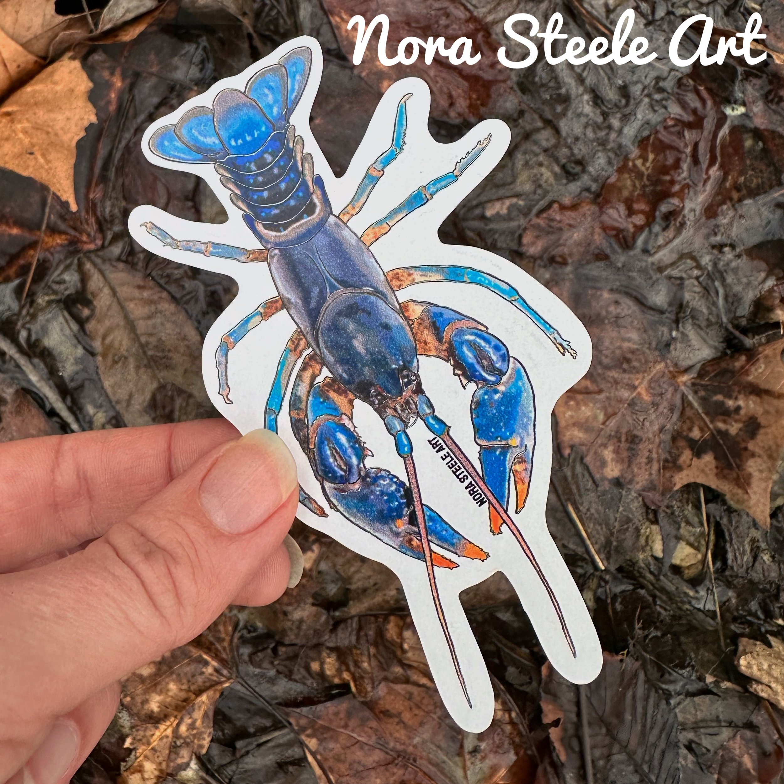 Blue crayfish sticker held above a background of leaves and mud
