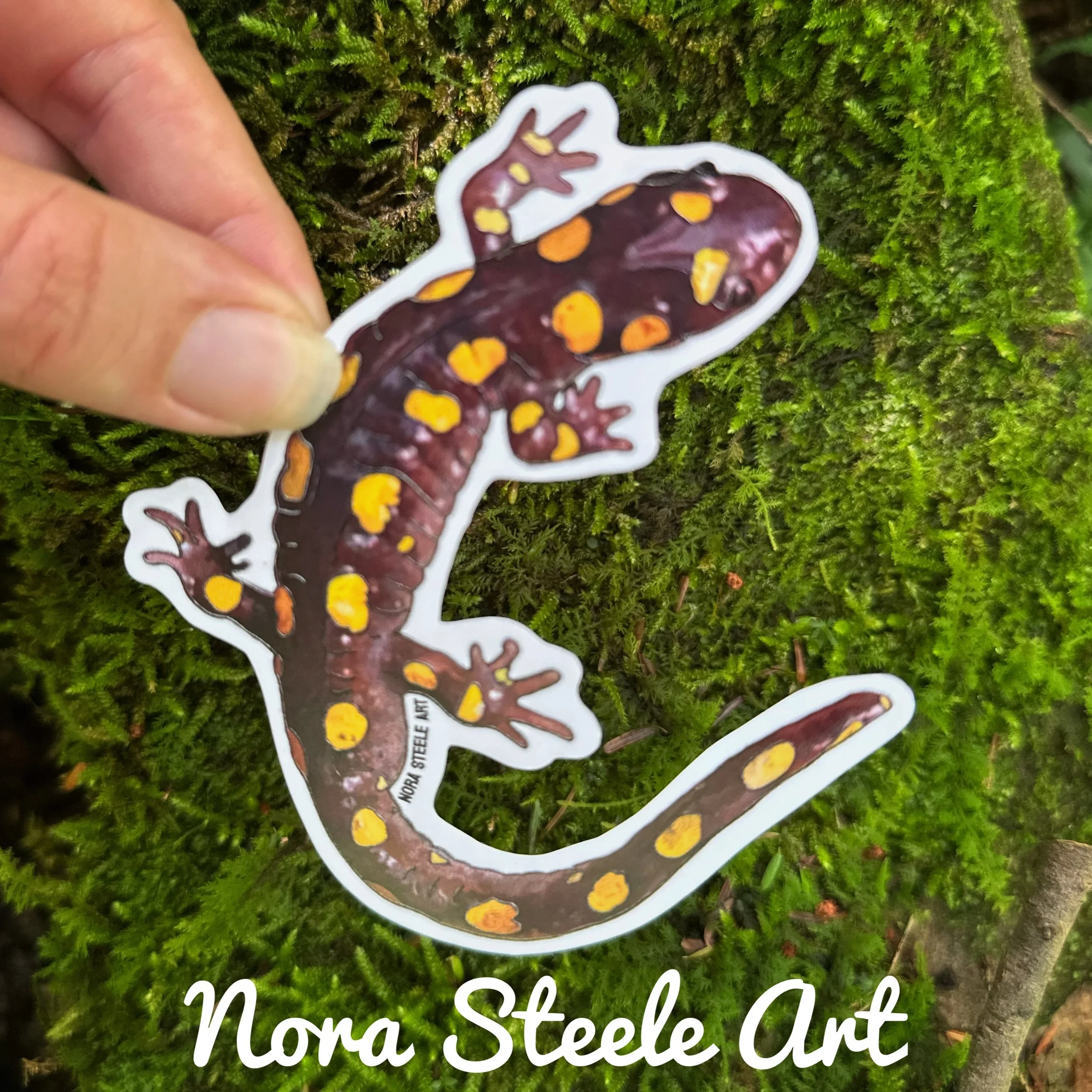 Spotted salamander sticker on background of moss