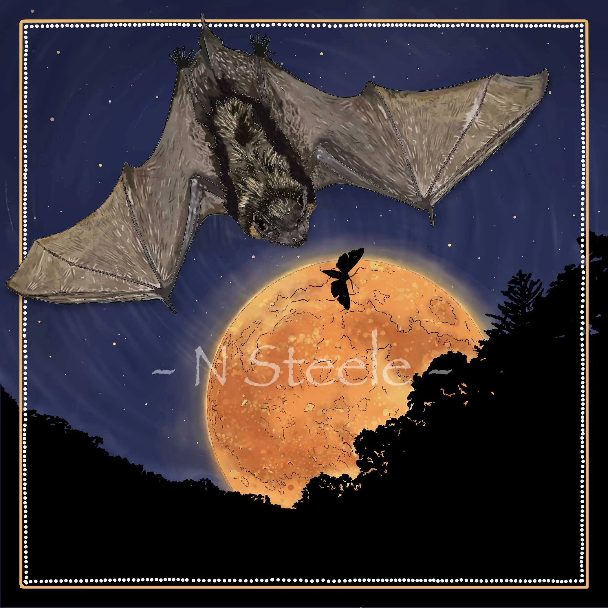 Little Brown Bat
