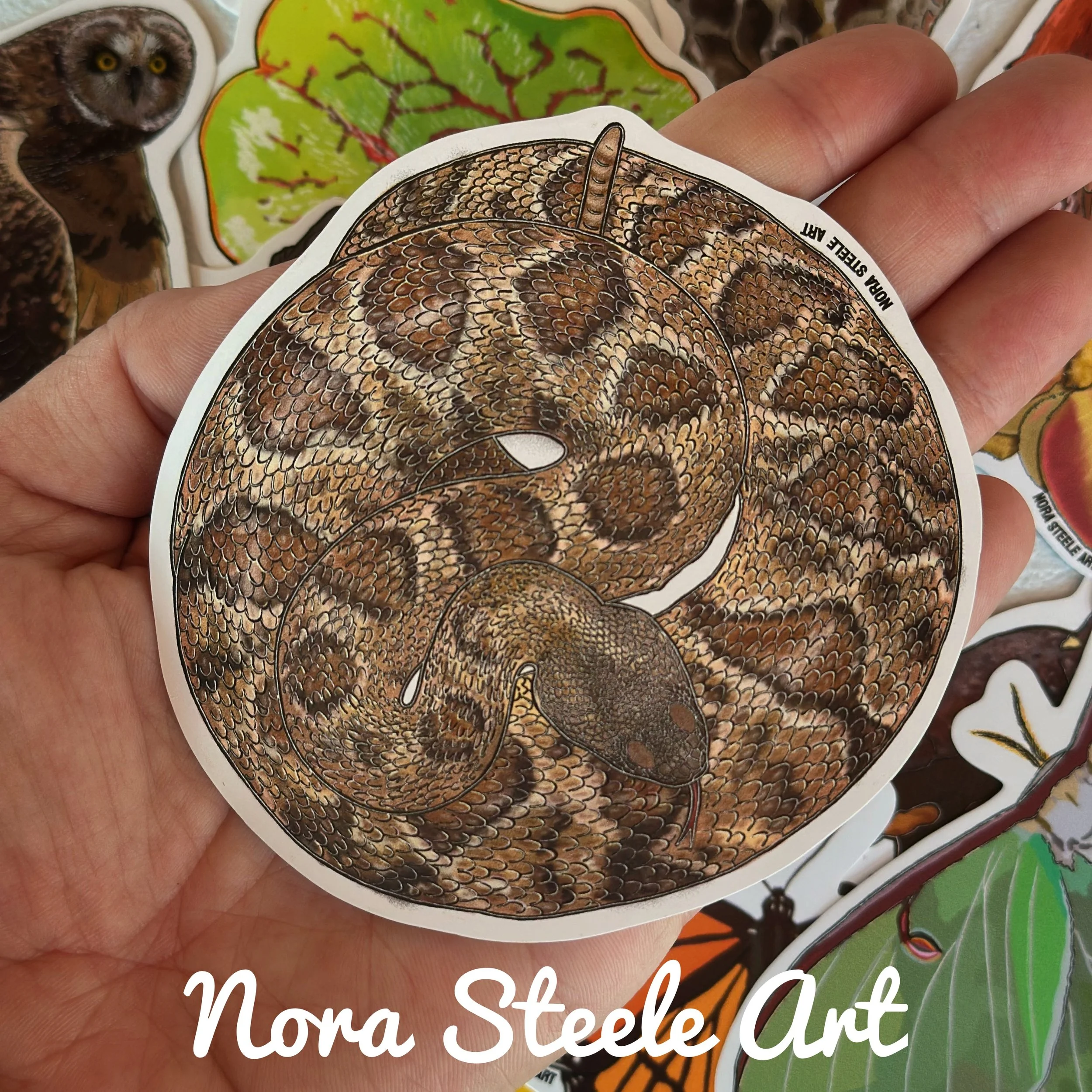 Timber rattlesnake sticker in hand