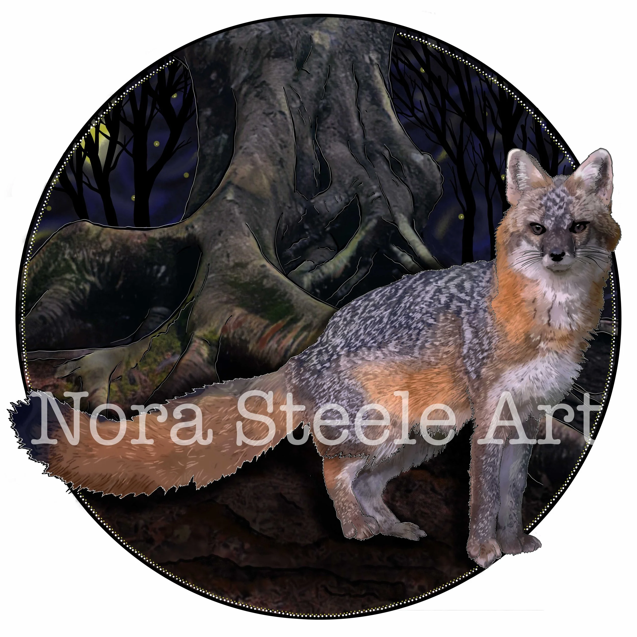Gray Fox