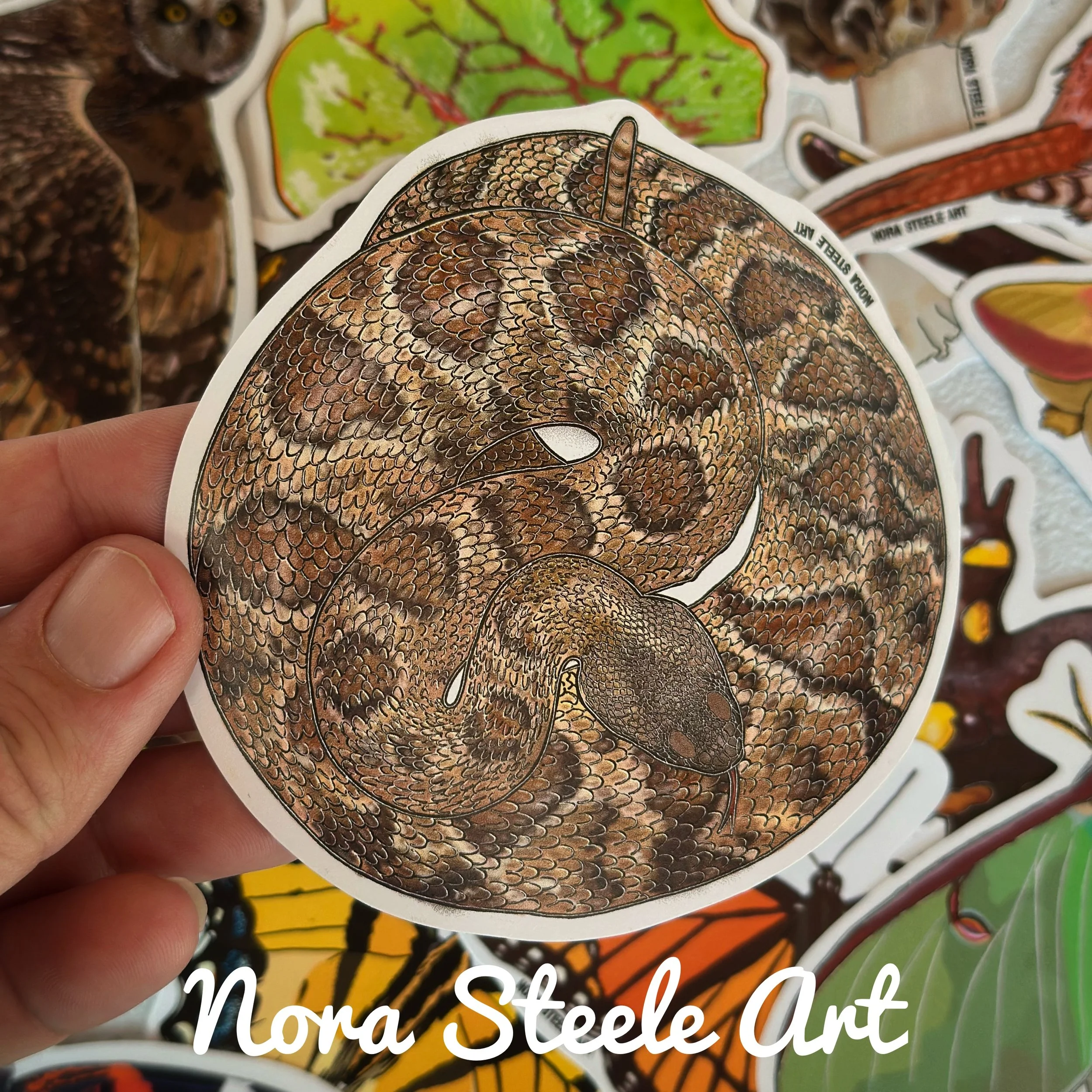 Timber rattlesnake sticker held above a pile of other stickers