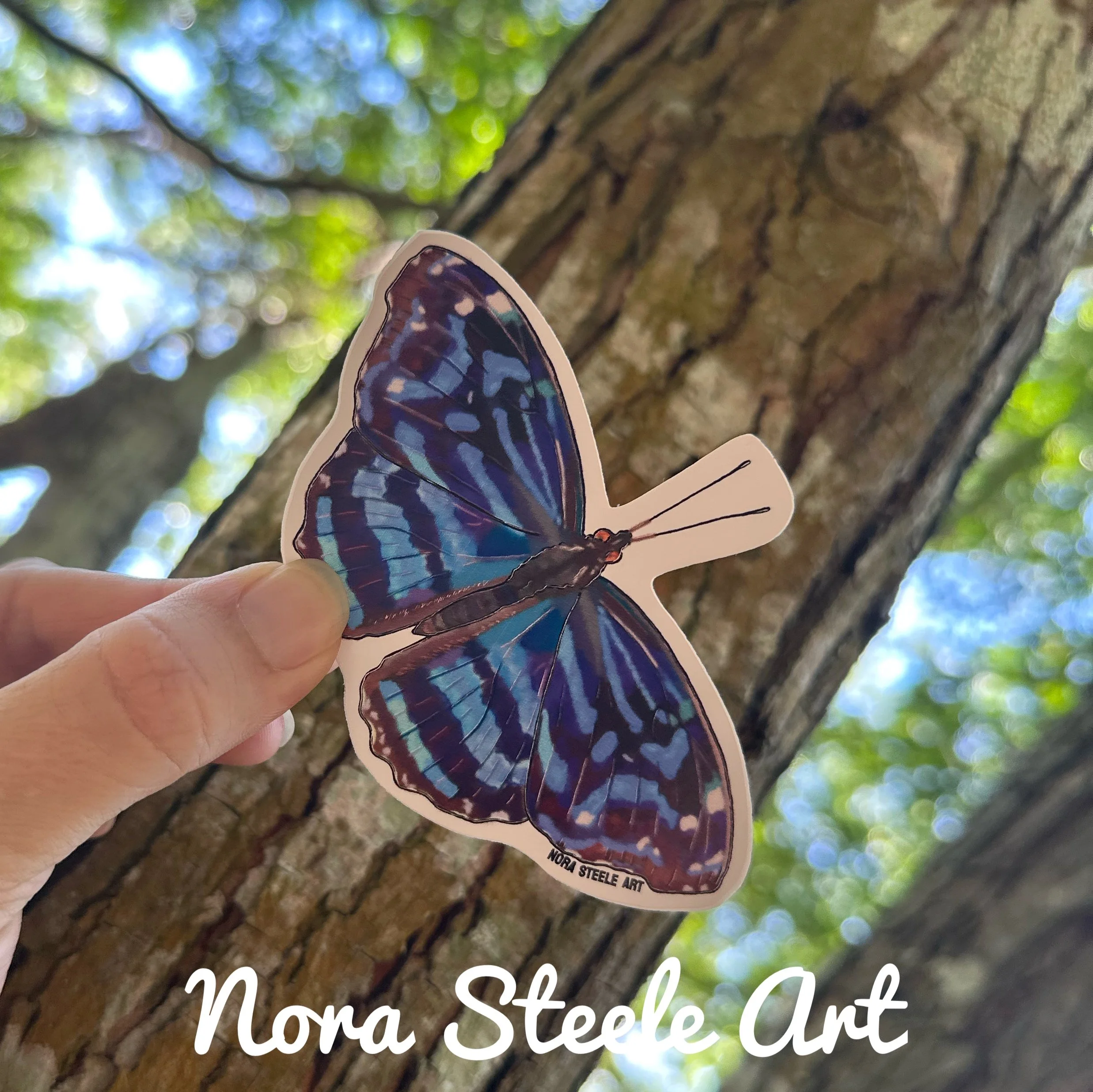 Waterproof Sticker - Mexican Bluewing Butterfly