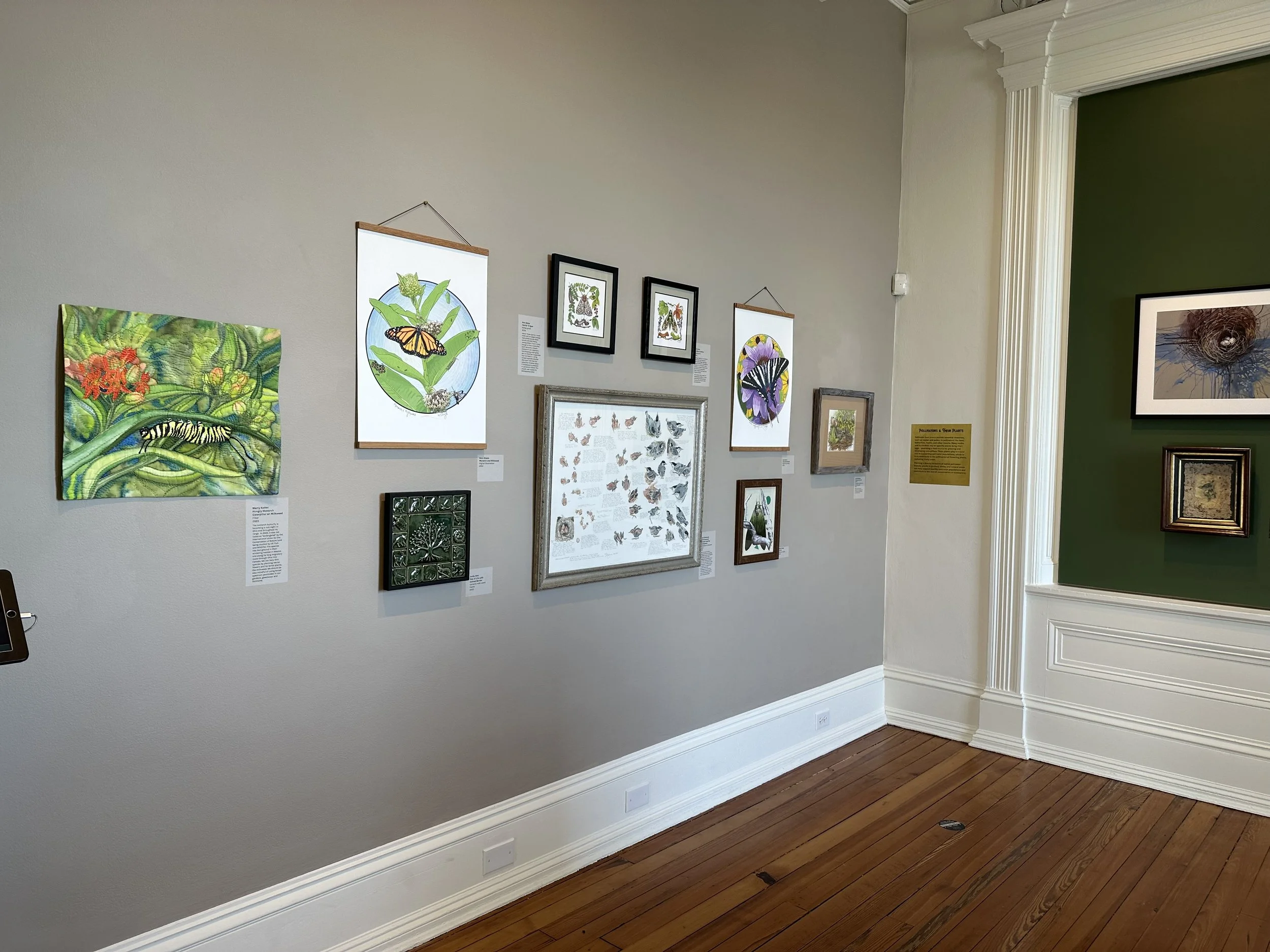 Gallery wall displaying various framed artwork, sketches, and botanical illustrations in an art exhibit room with wooden floors and white crown molding.