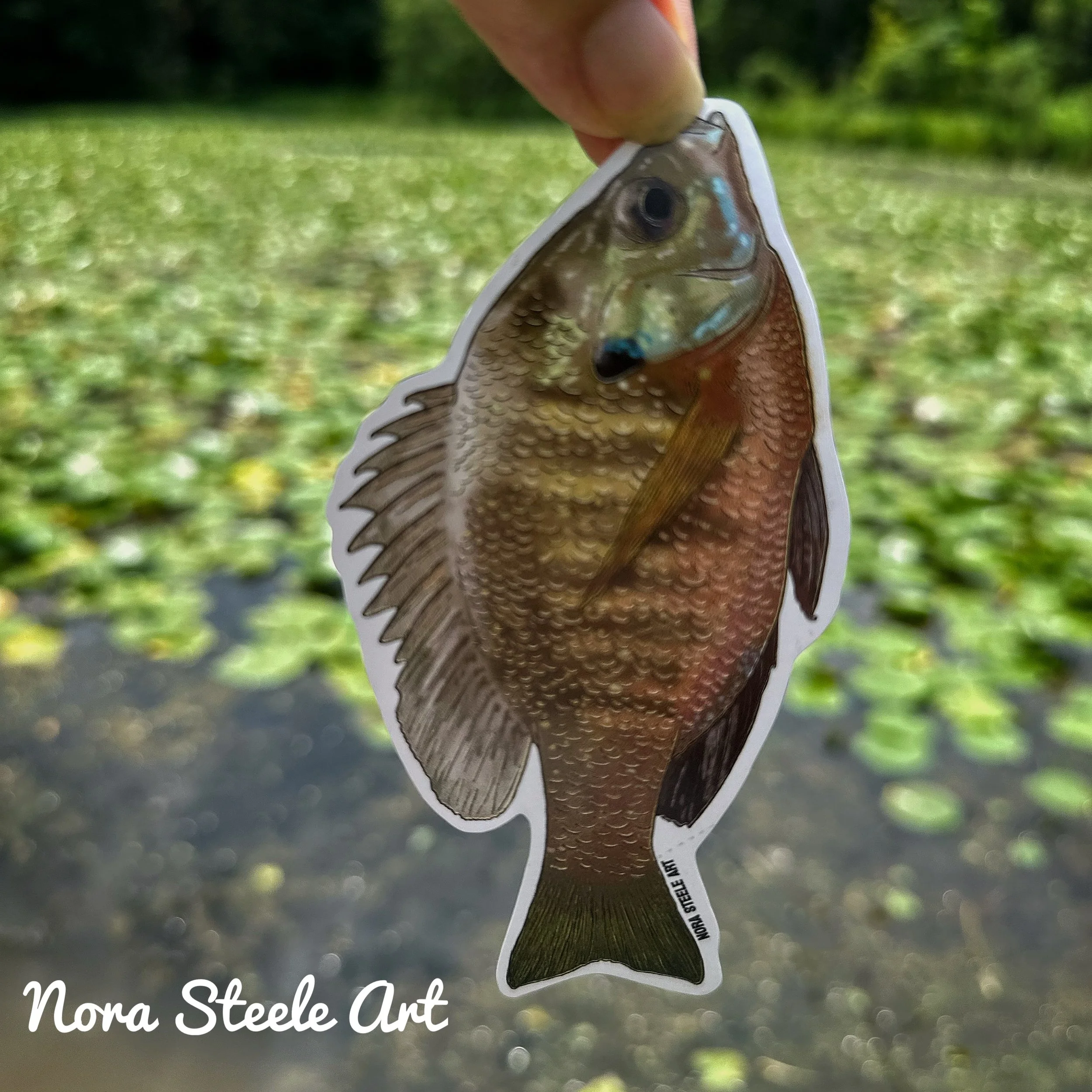 A sticker of a fish with detailed scales and fins is held between someone's fingers against a green, outdoor background. The sticker has a cartoonish design with realistic textures.