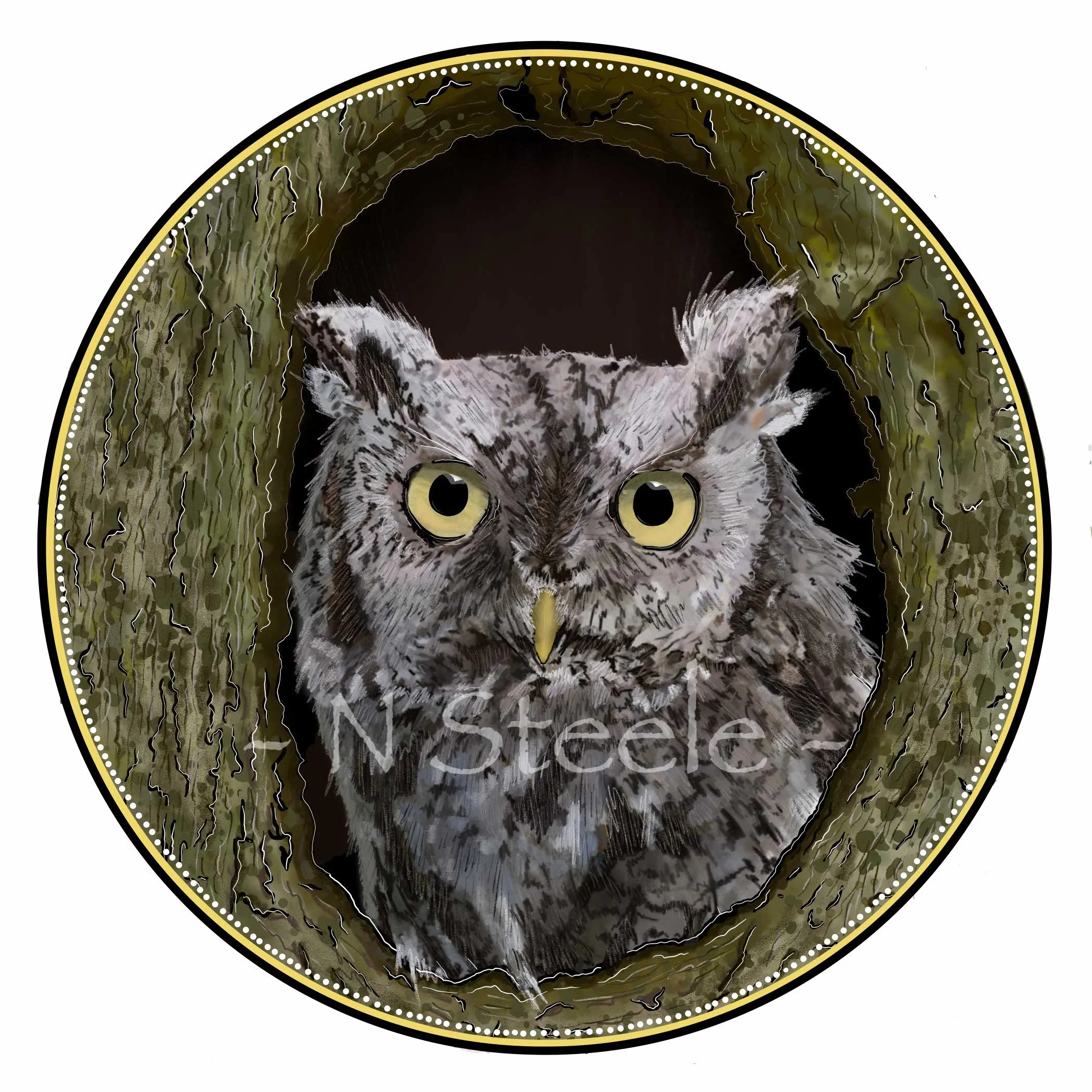Eastern Screech Owl