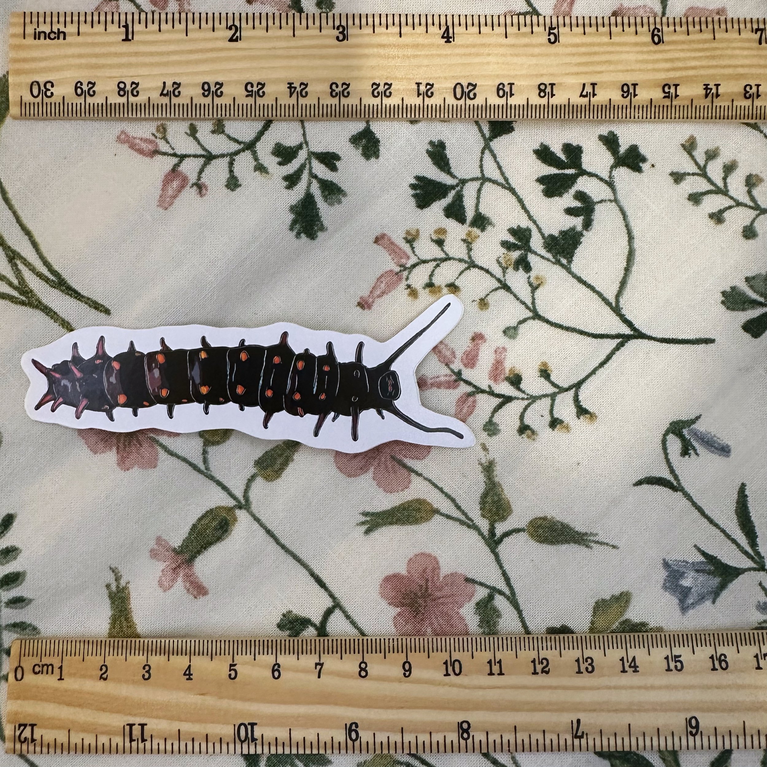 Pipevine swallowtail caterpillar sticker measuring about 4 inches long