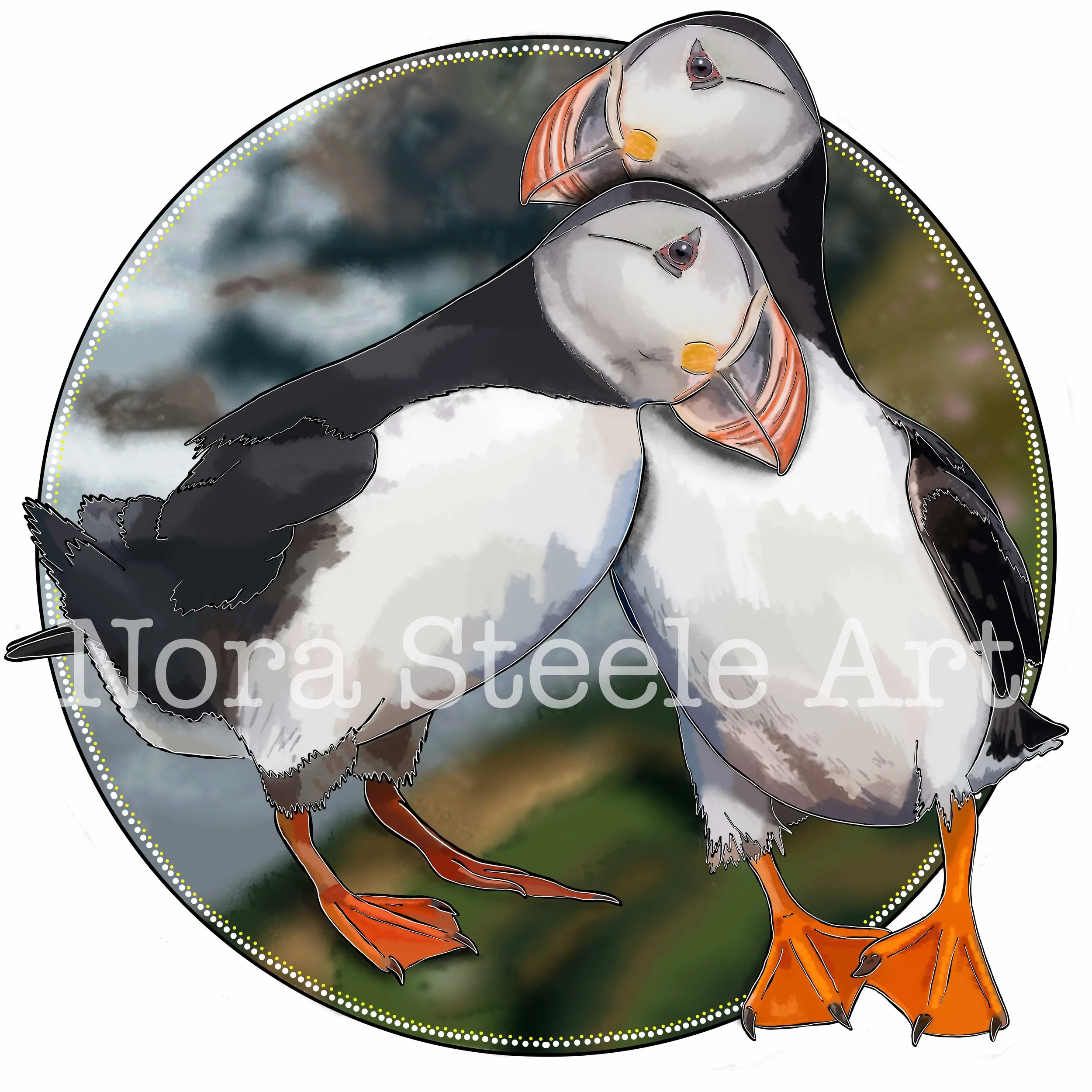 Atlantic Puffin