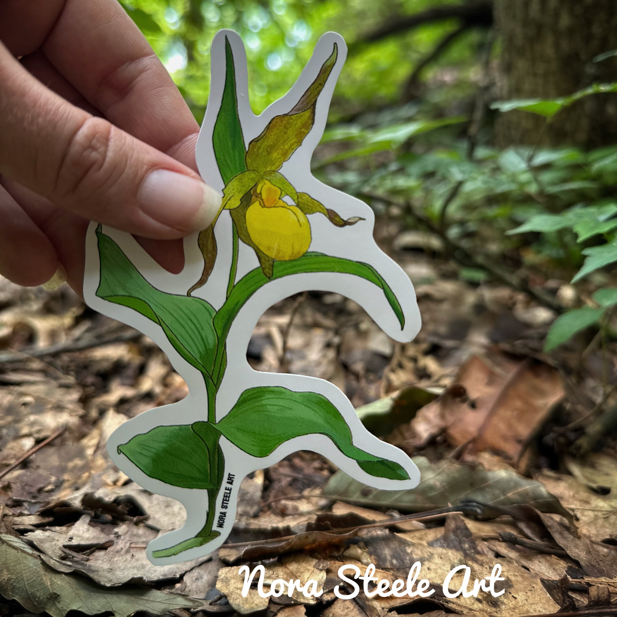 Yellow ladys slipper sticker on the forest floor