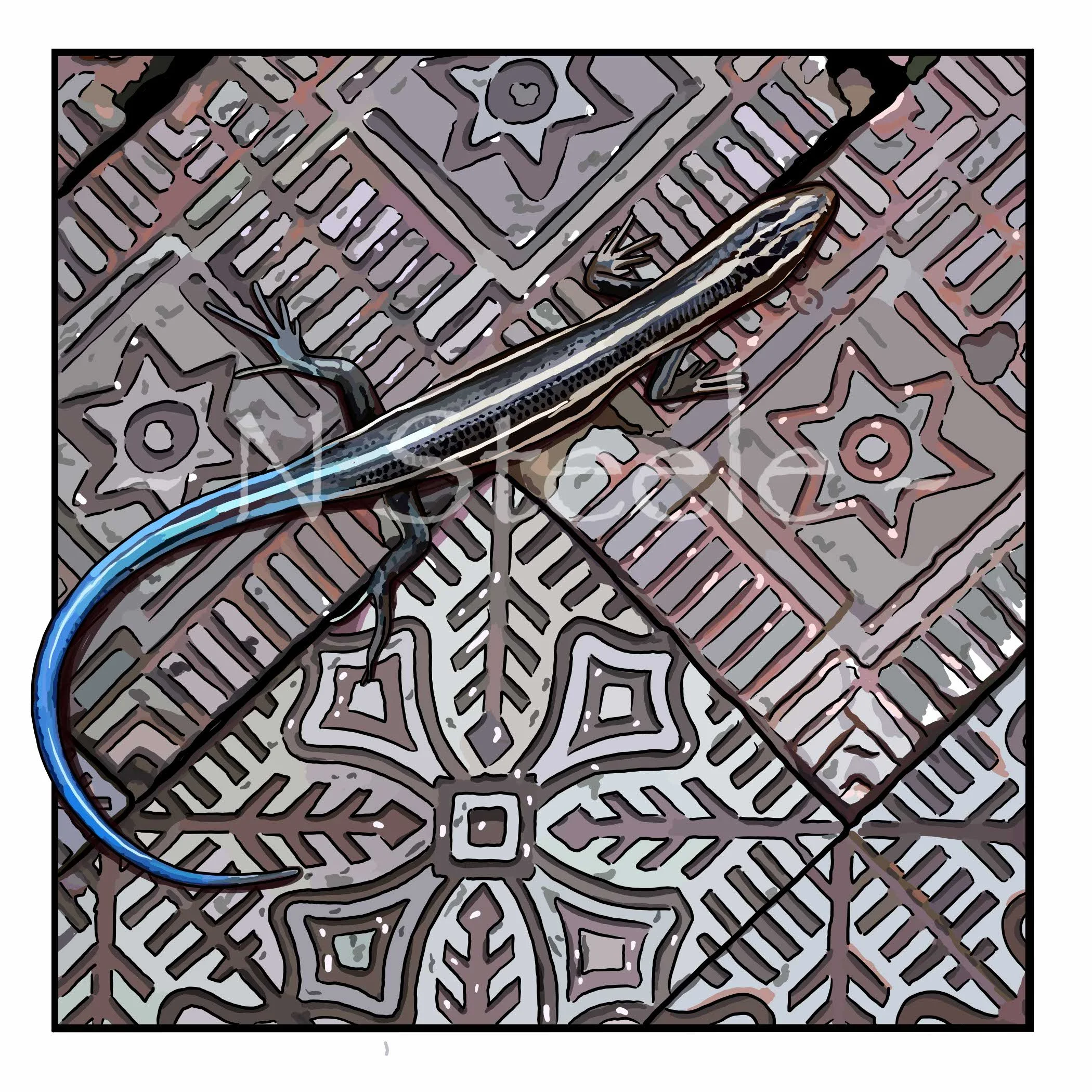 Five-lined Skink and Starbricks