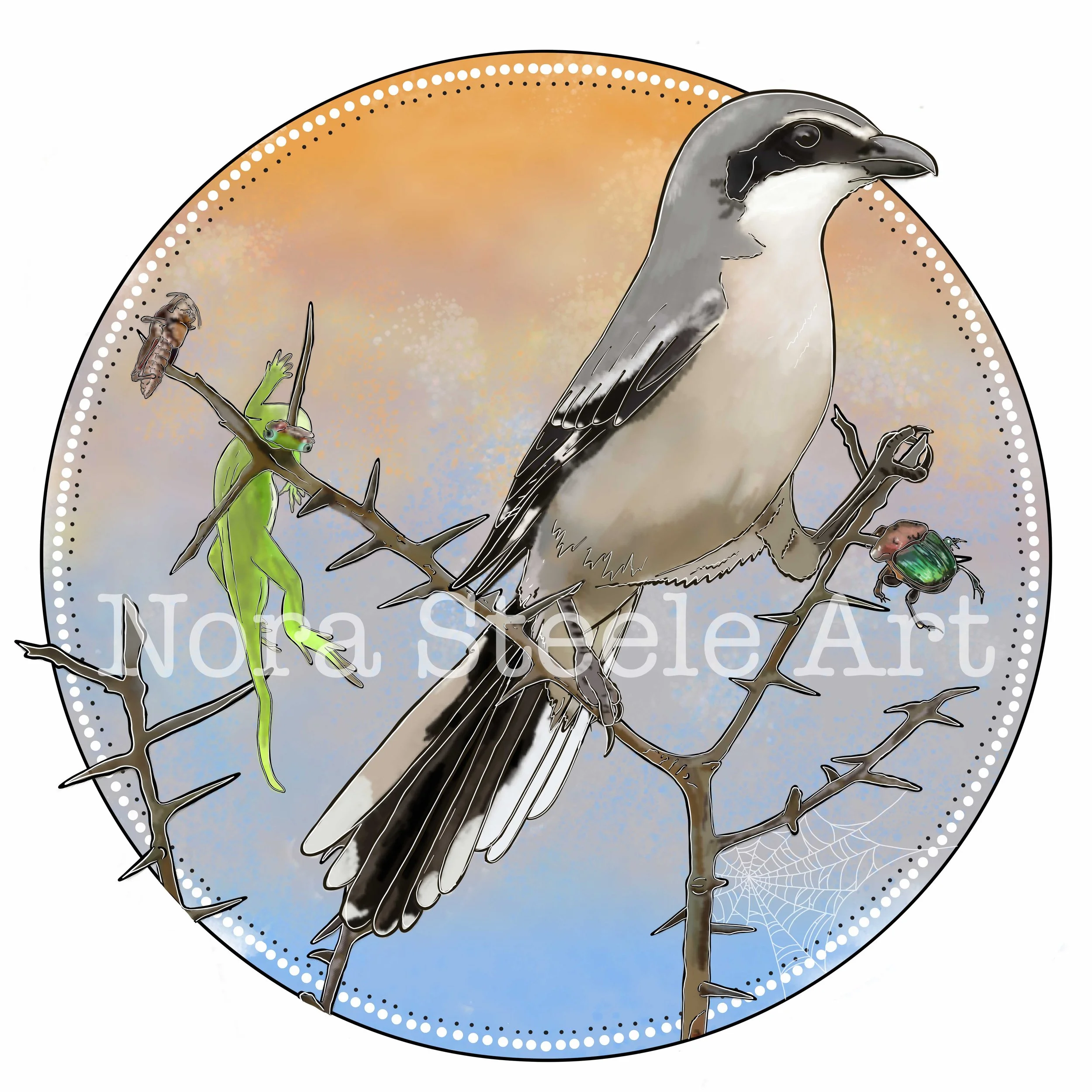 Loggerhead Shrike.jpeg