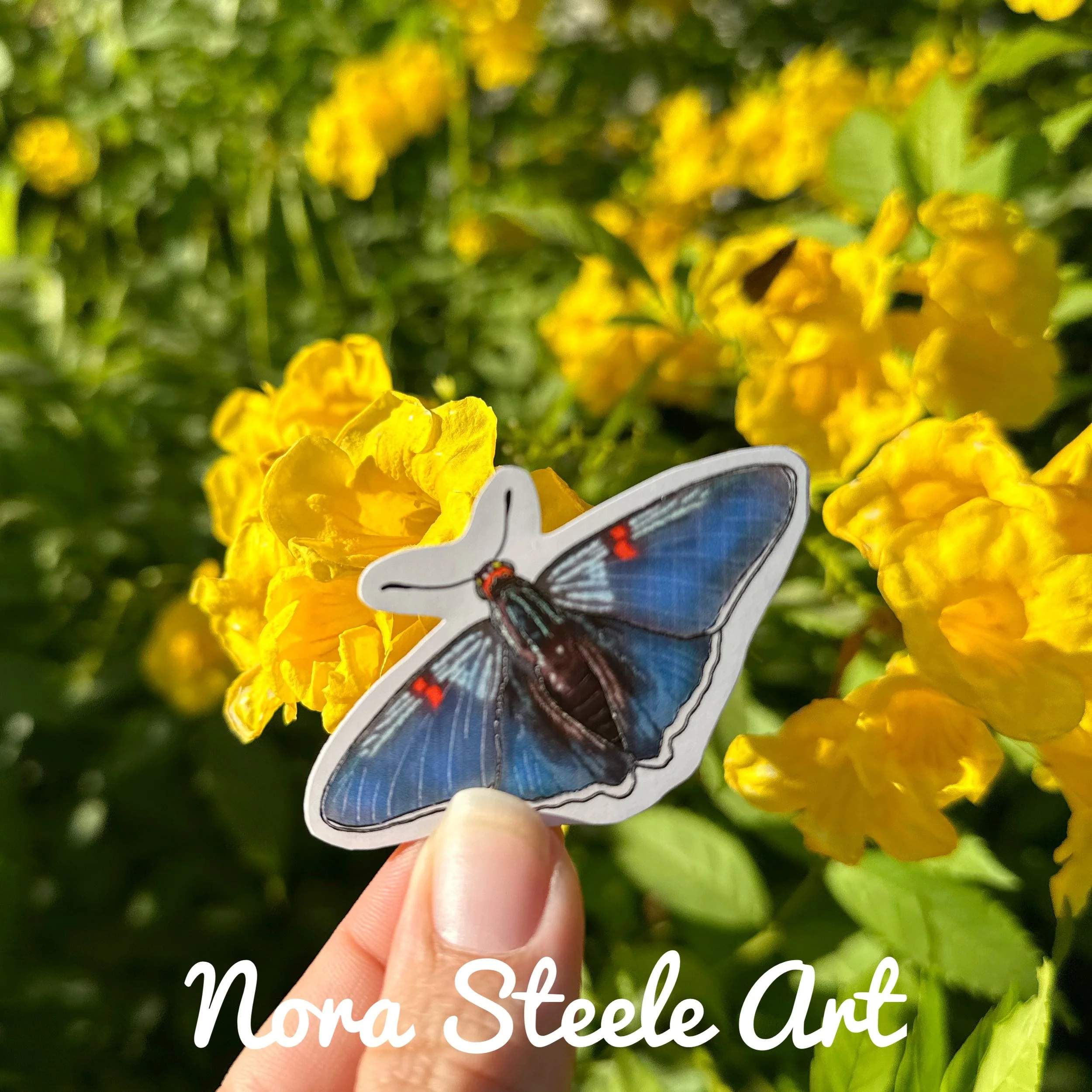 Waterproof Sticker - Guava Skipper