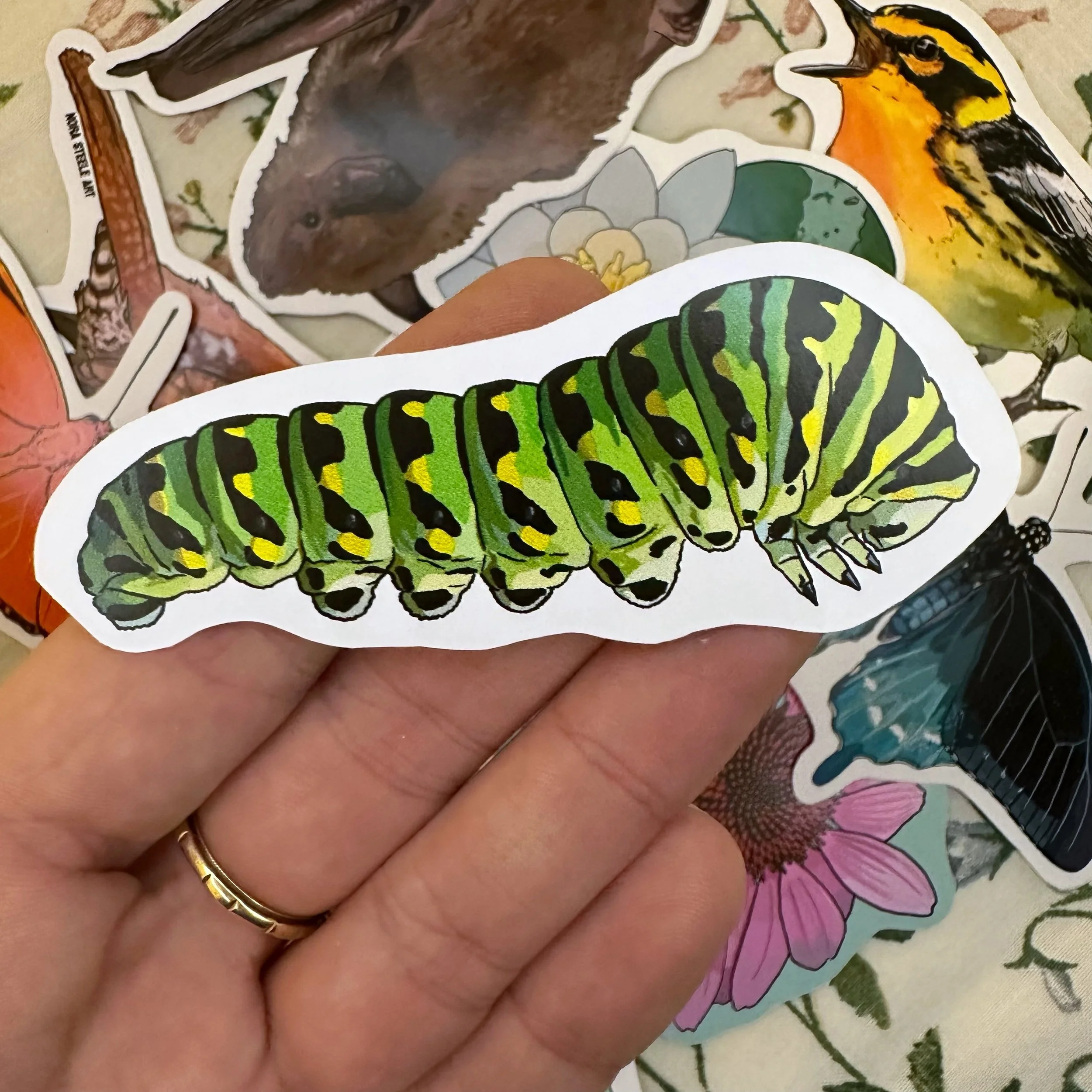 Black swallowtail caterpillar sticker held above a pile of other stickers