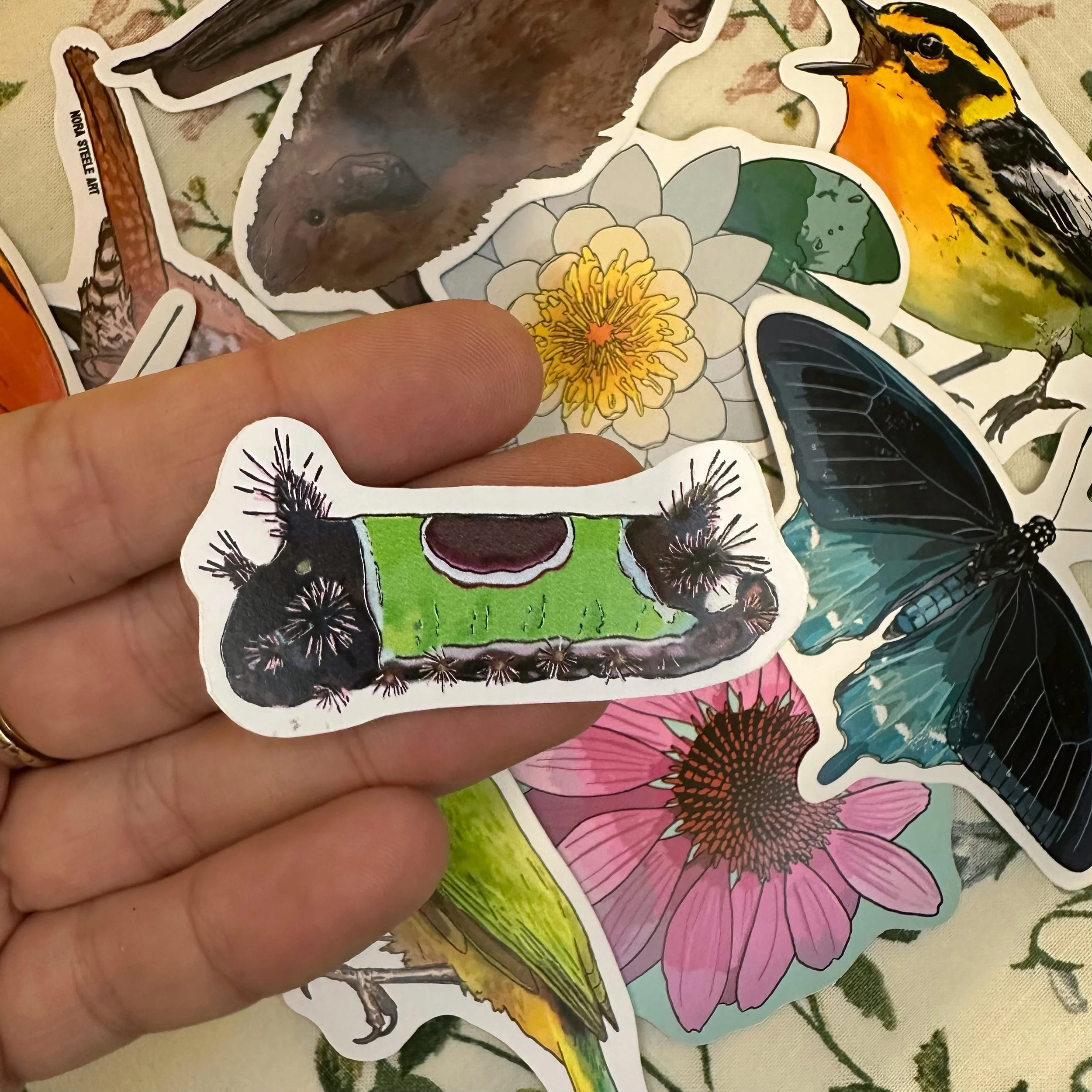 Saddleback caterpillar sticker held above a pile of other stickers
