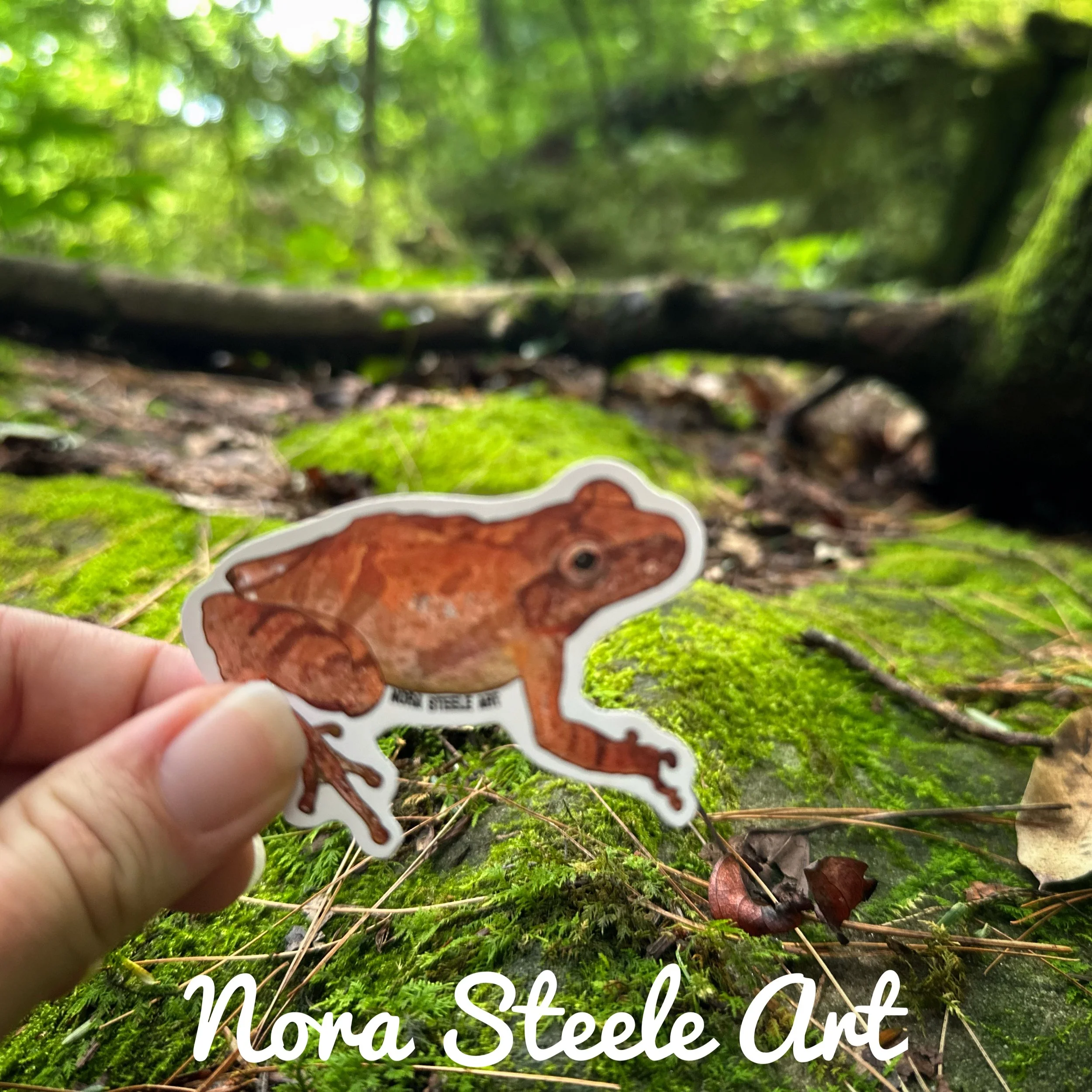 Spring peeper sticker on background of mossy woods