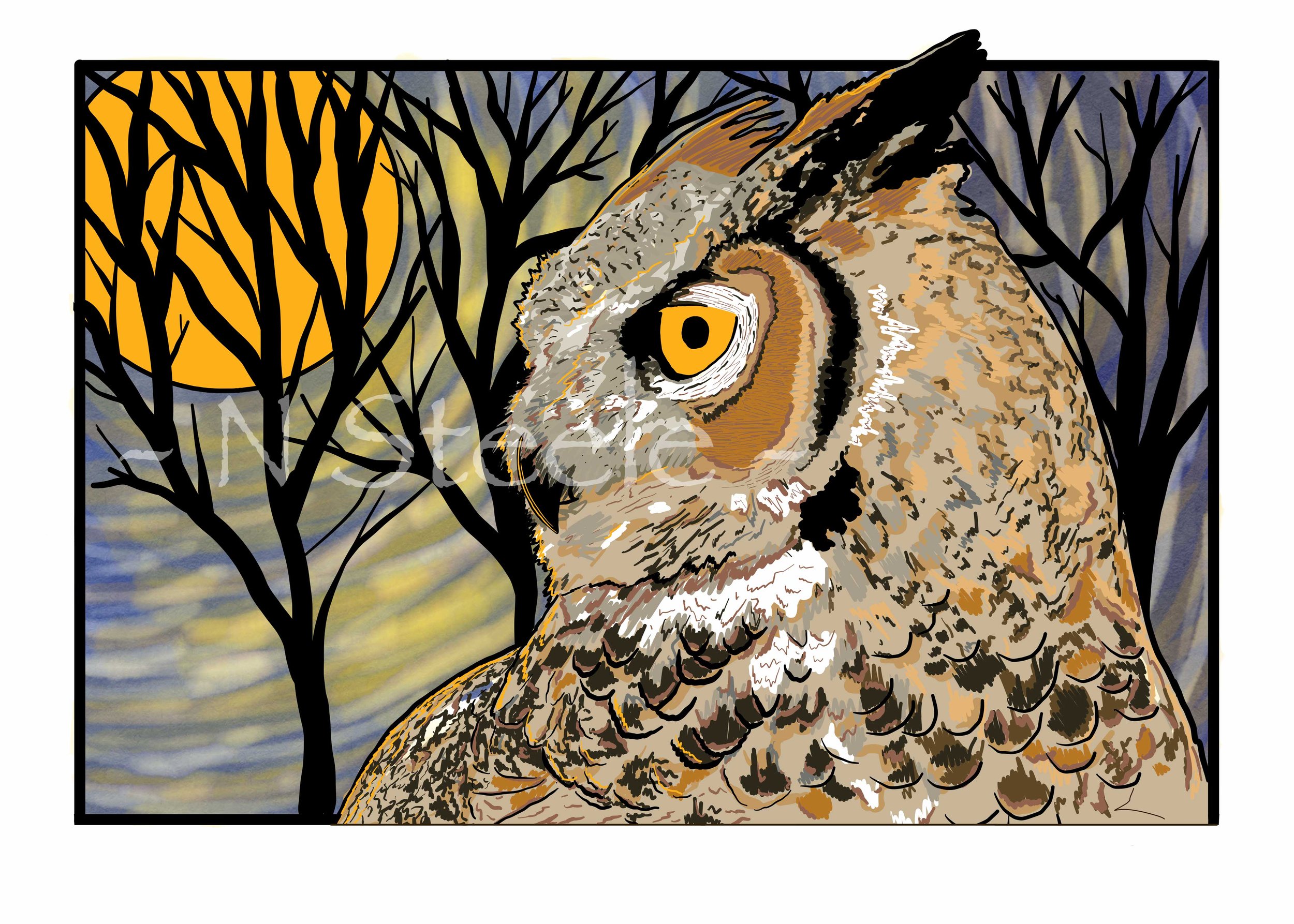 Great Horned Owl
