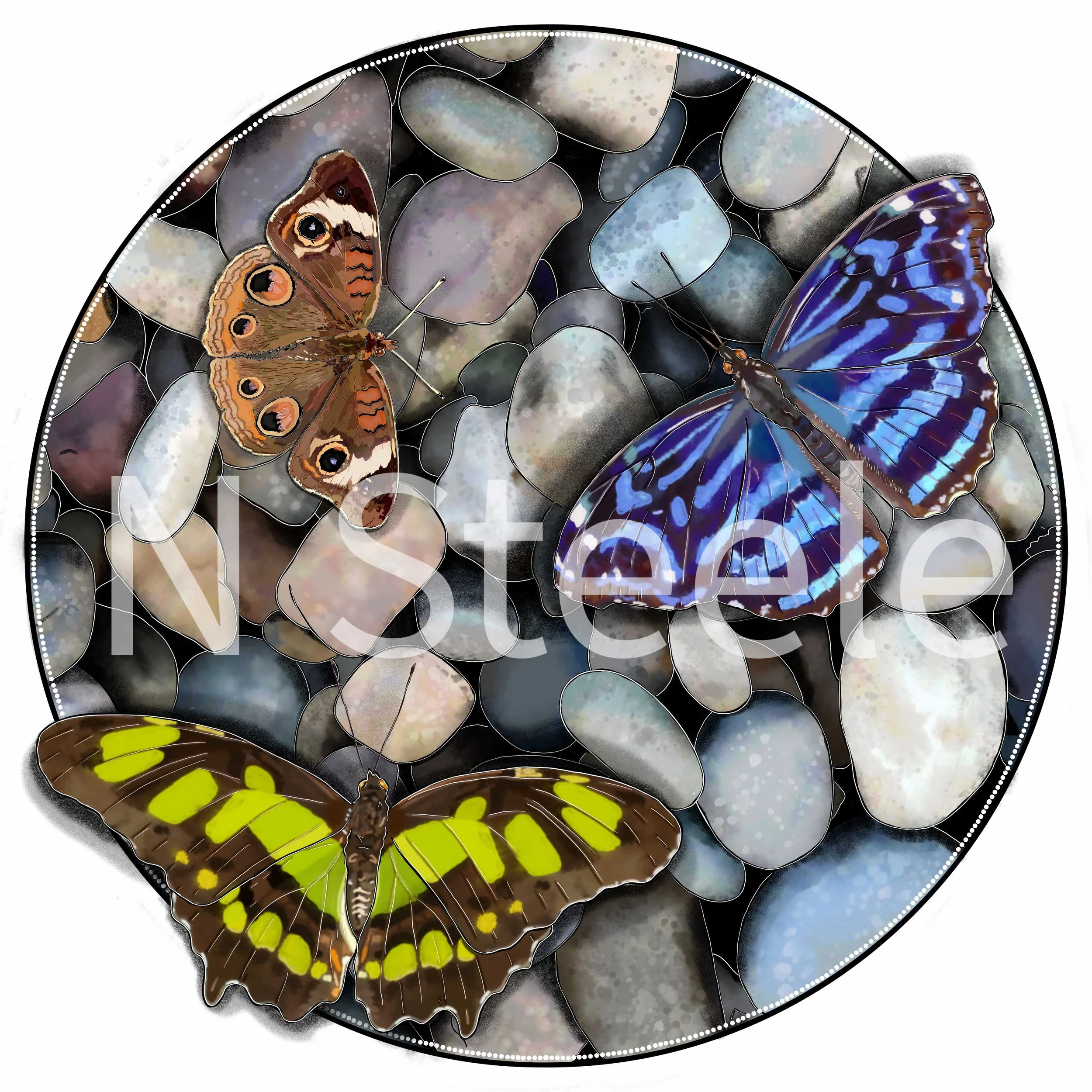 Tres Tropical Butterflies