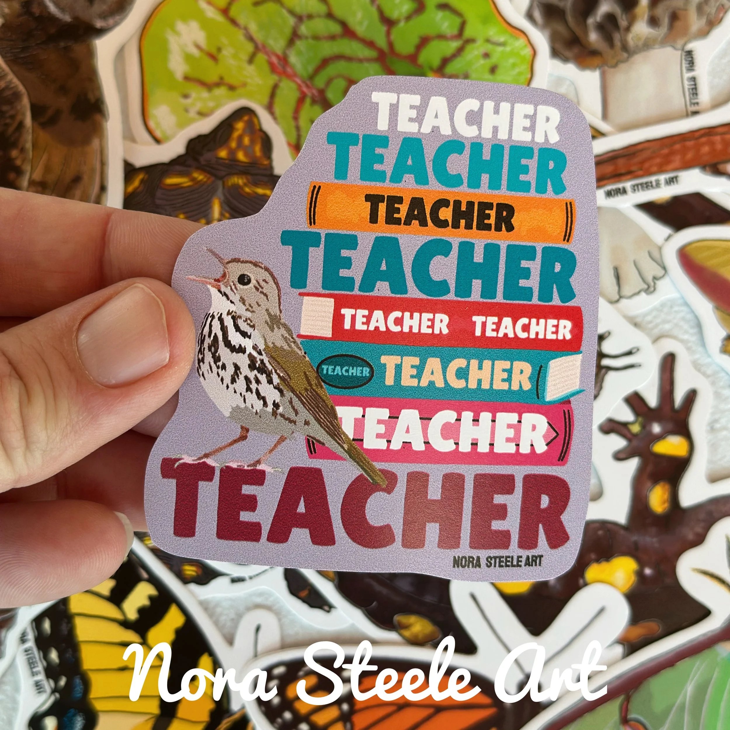 Waterproof Sticker -  Ovenbird Song - Teacher, Teacher