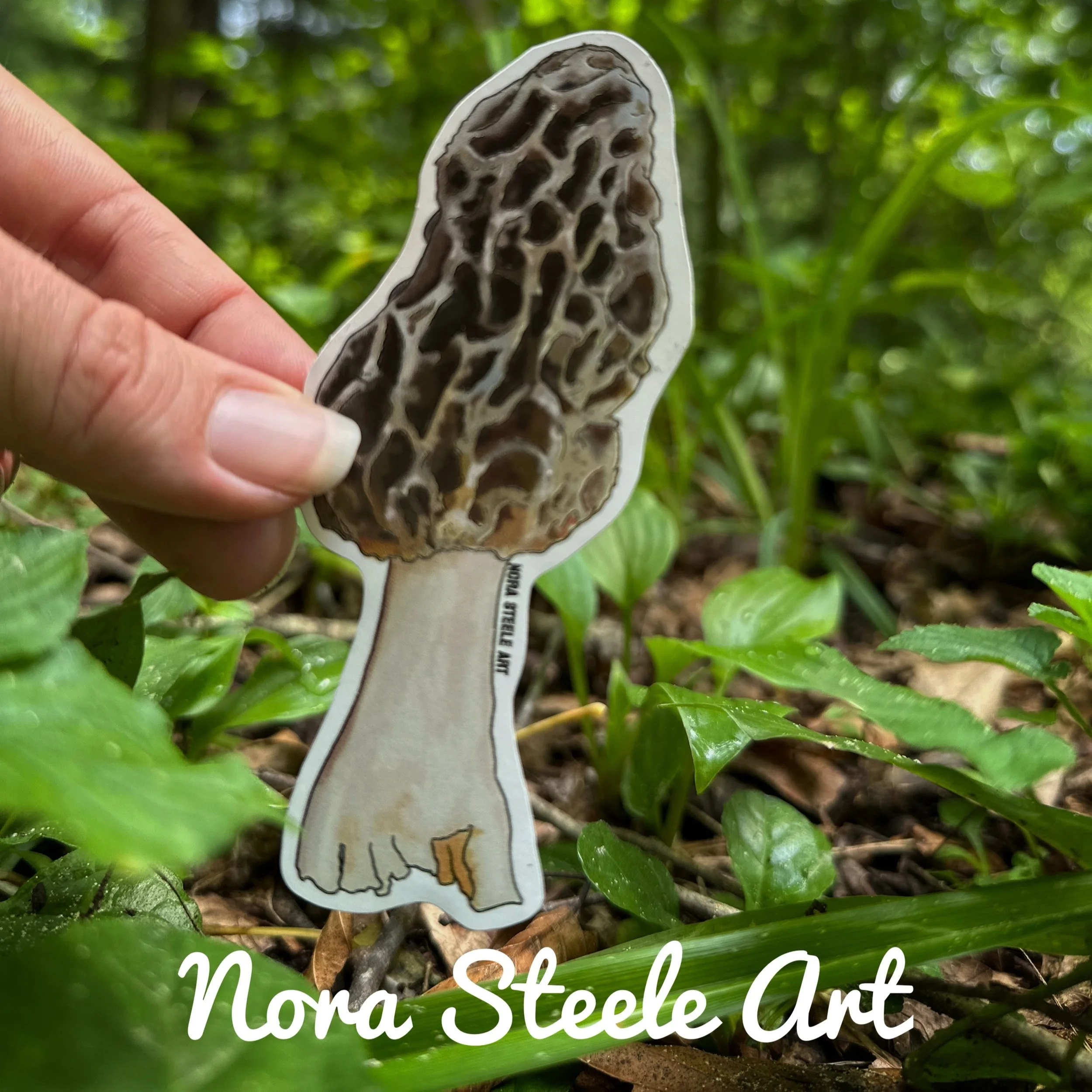 Morel mushroom sticker held above a forest floor