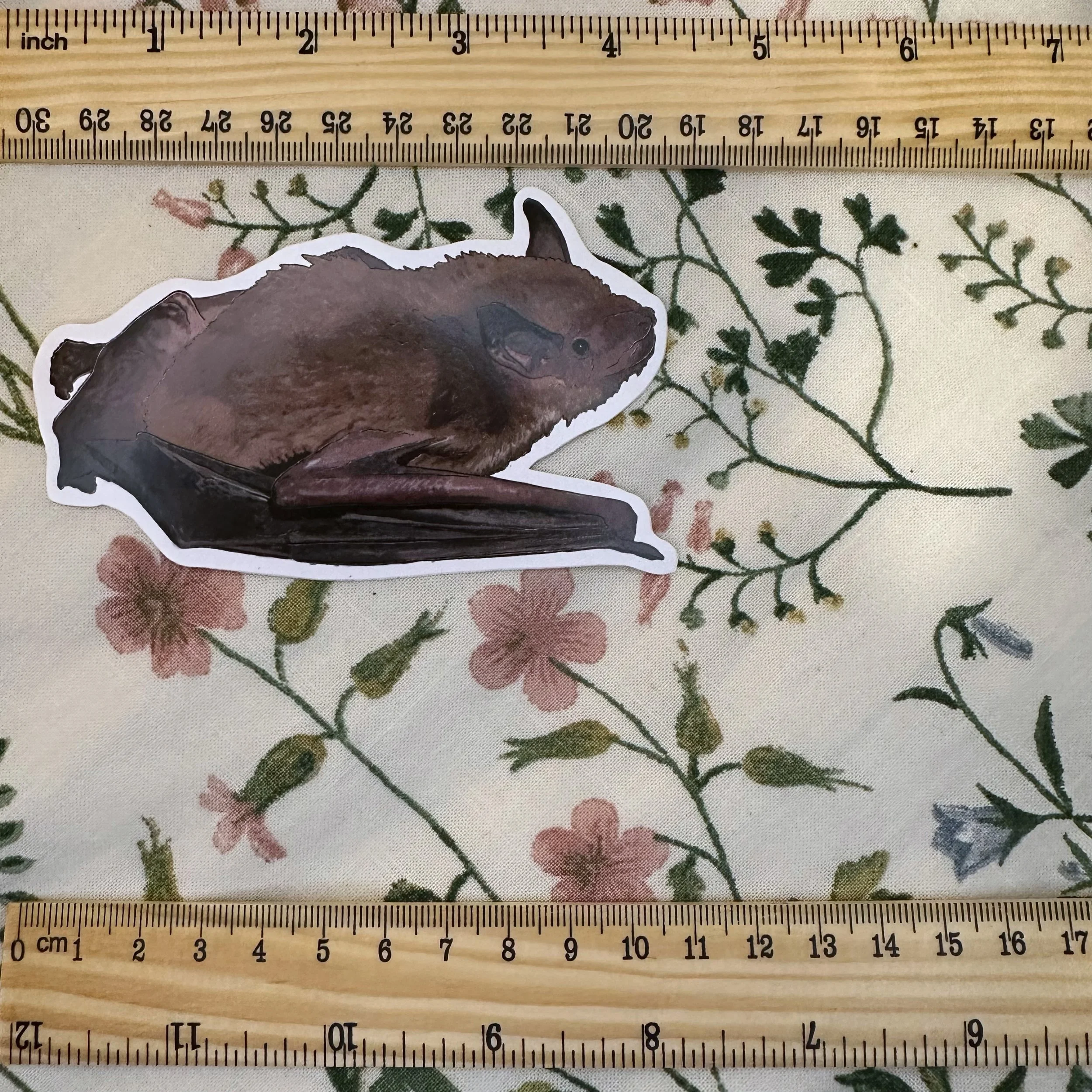 little brown bat sticker measuring about 4 1/2 inches long