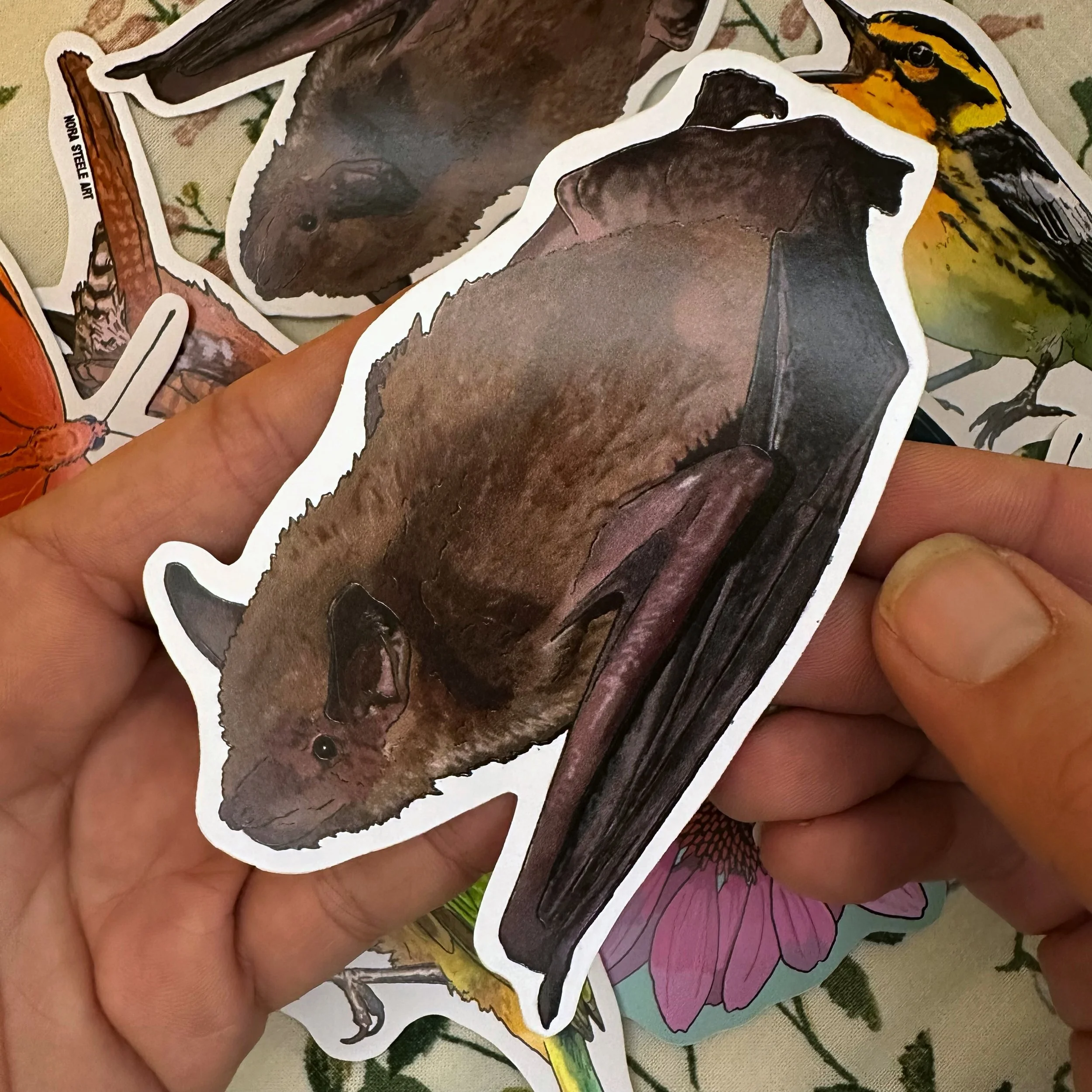 little brown bat sticker held above a pile of other stickers