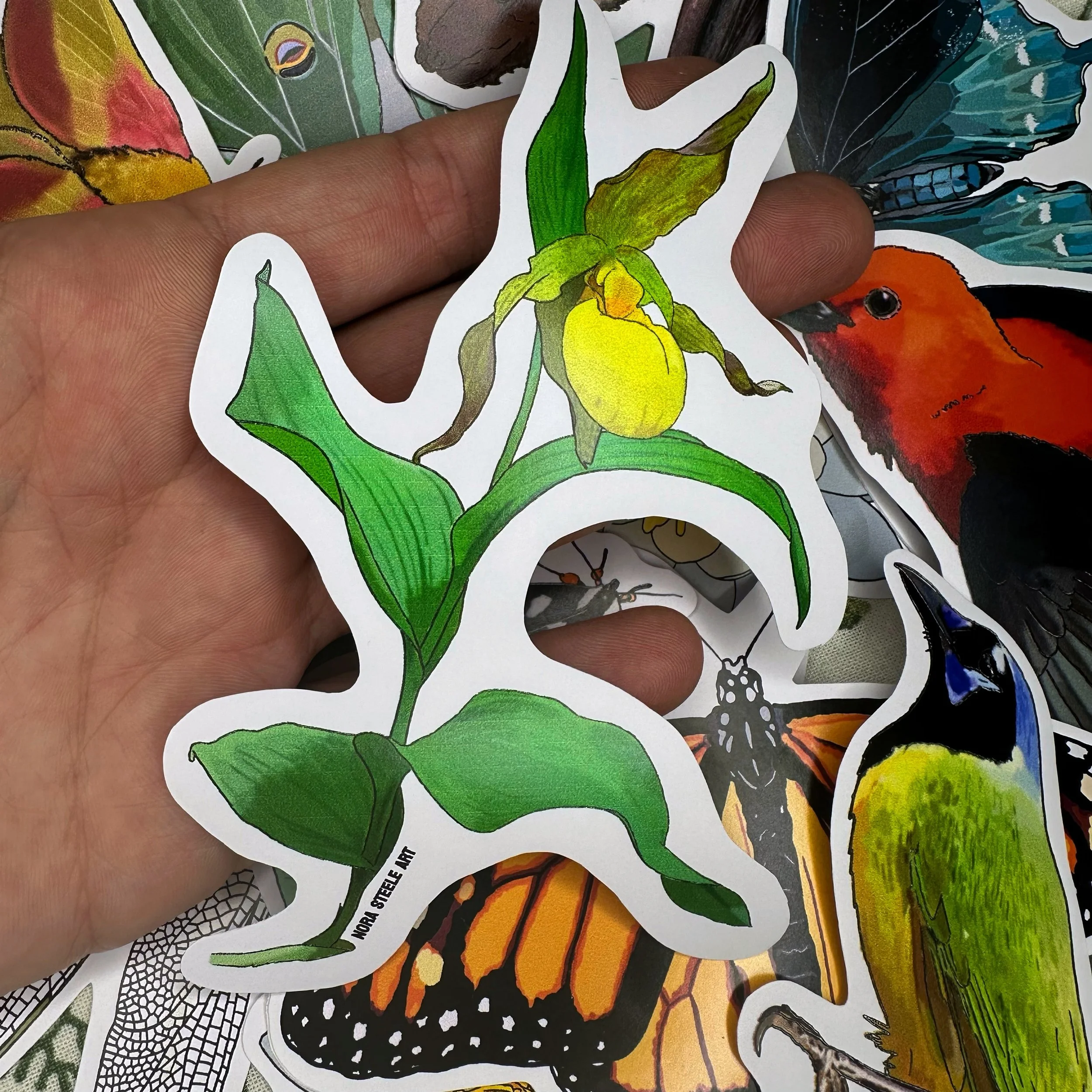 Yellow ladys slipper sticker held above a pile of other stickers