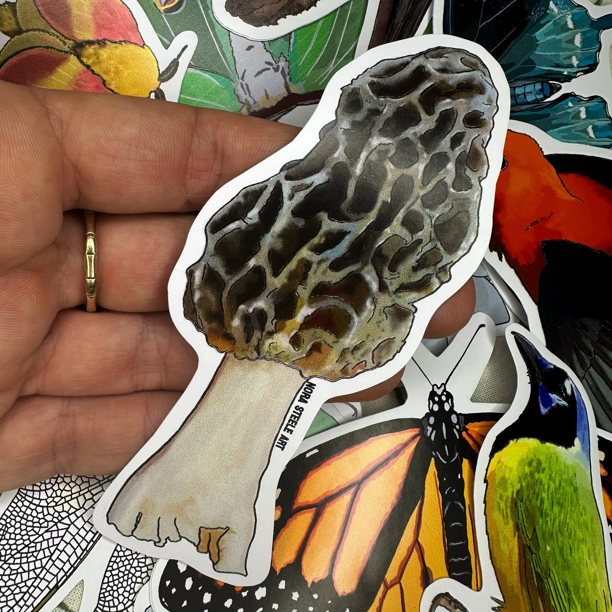 Morel mushroom sticker held above a pile of other stickers