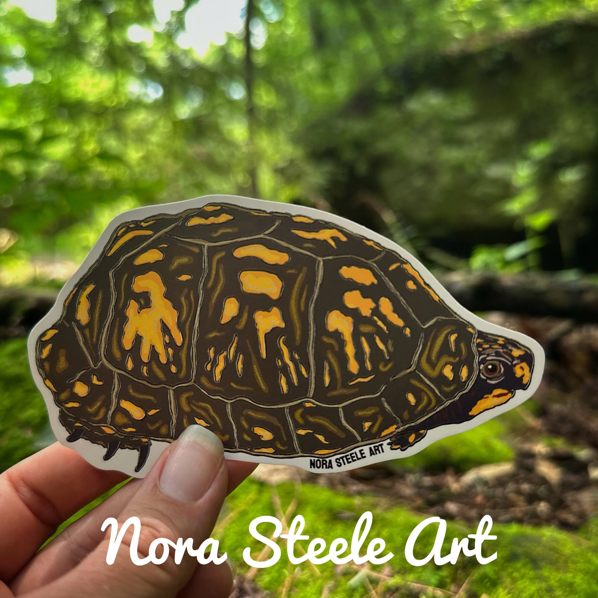 Easter box turtle sticker in forest