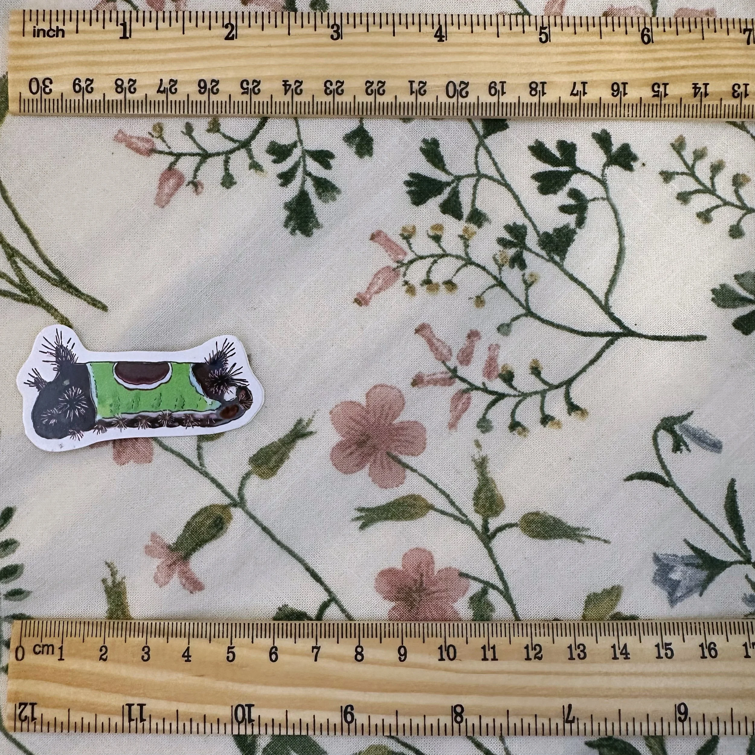 Saddleback caterpillar sticker measuring about 2 inches long