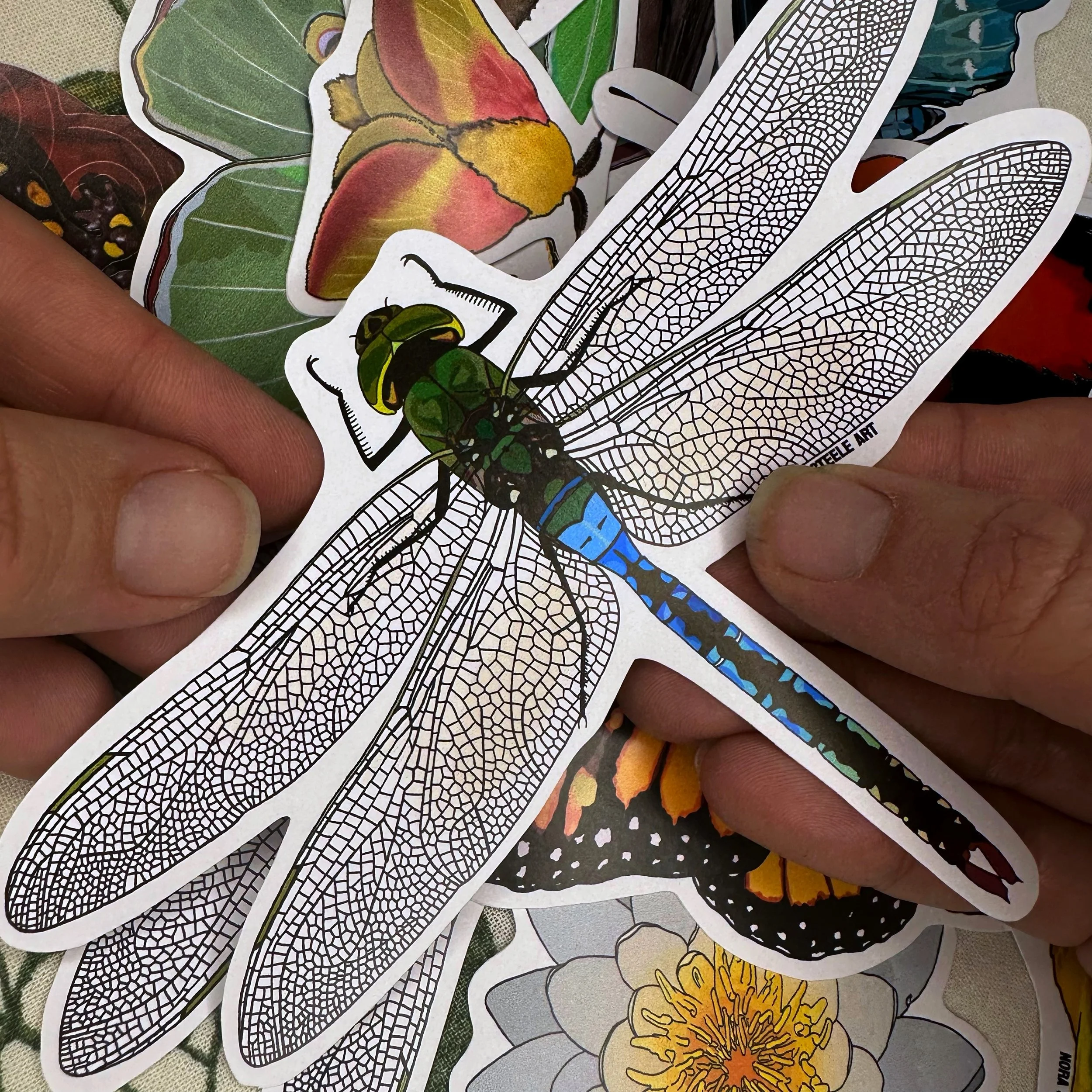 Green darner dragonfly sticker held above a pile of other stickers