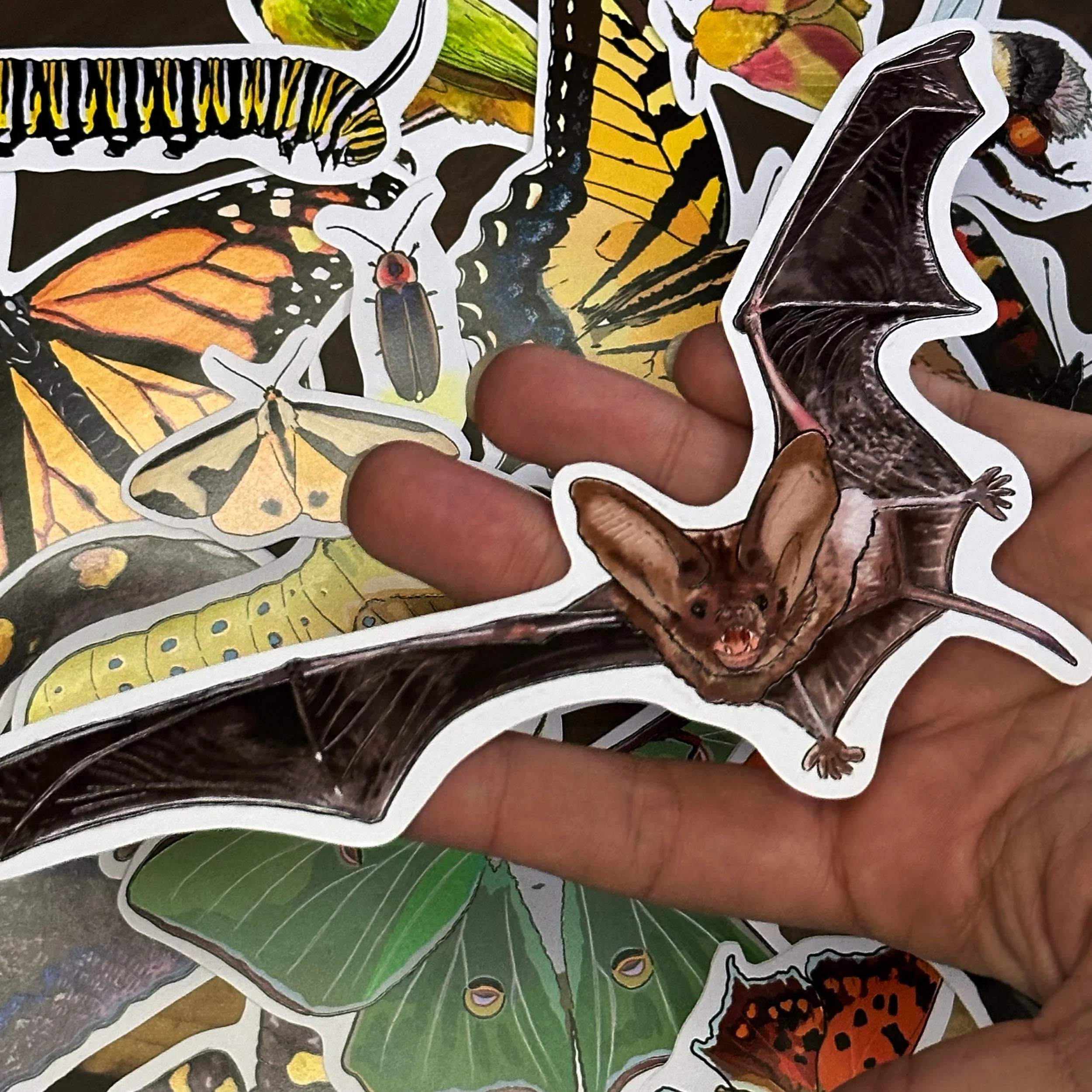 Mexican free tailed bat sticker held above a pile of other stickers