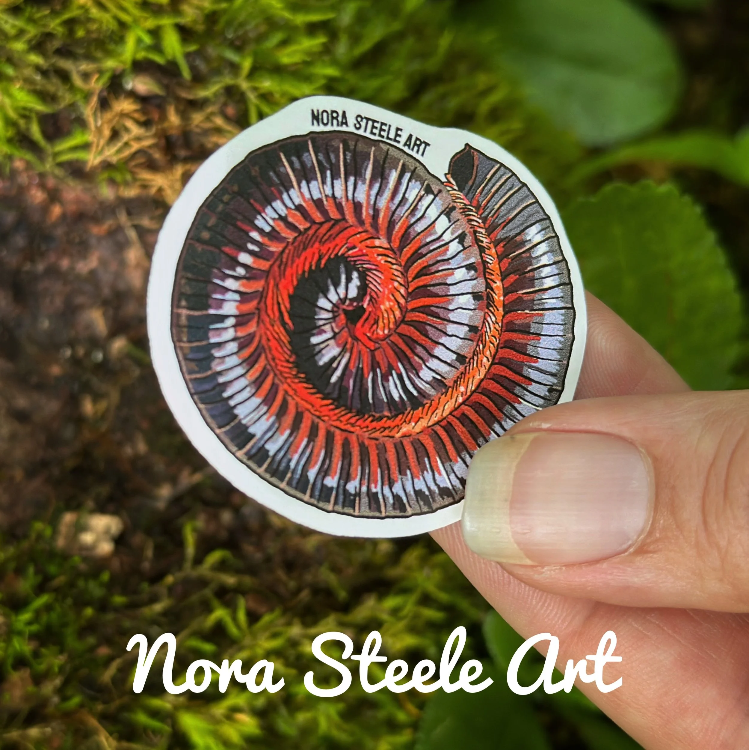 American giant millipede sticker on background of moss
