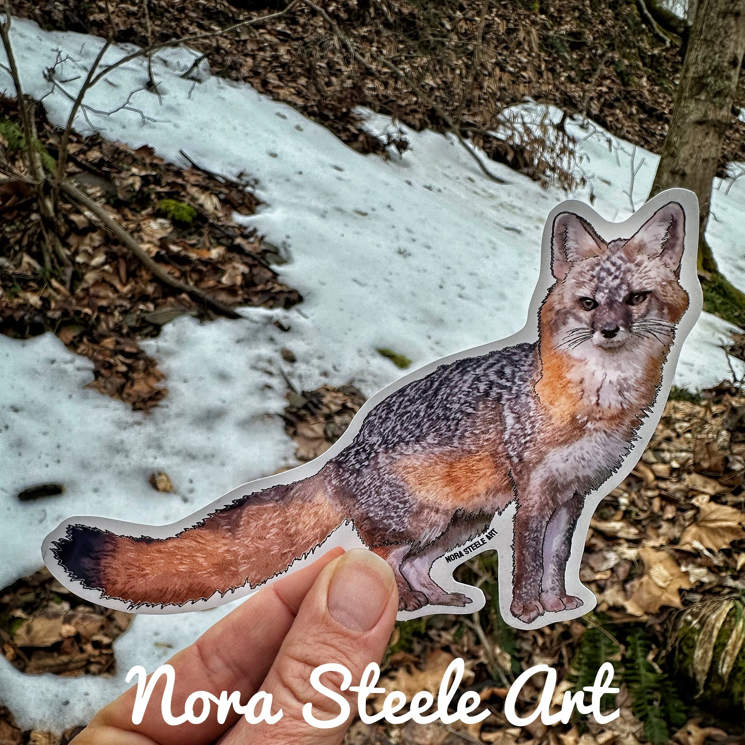 Gray fox sticker on background of snowy ground