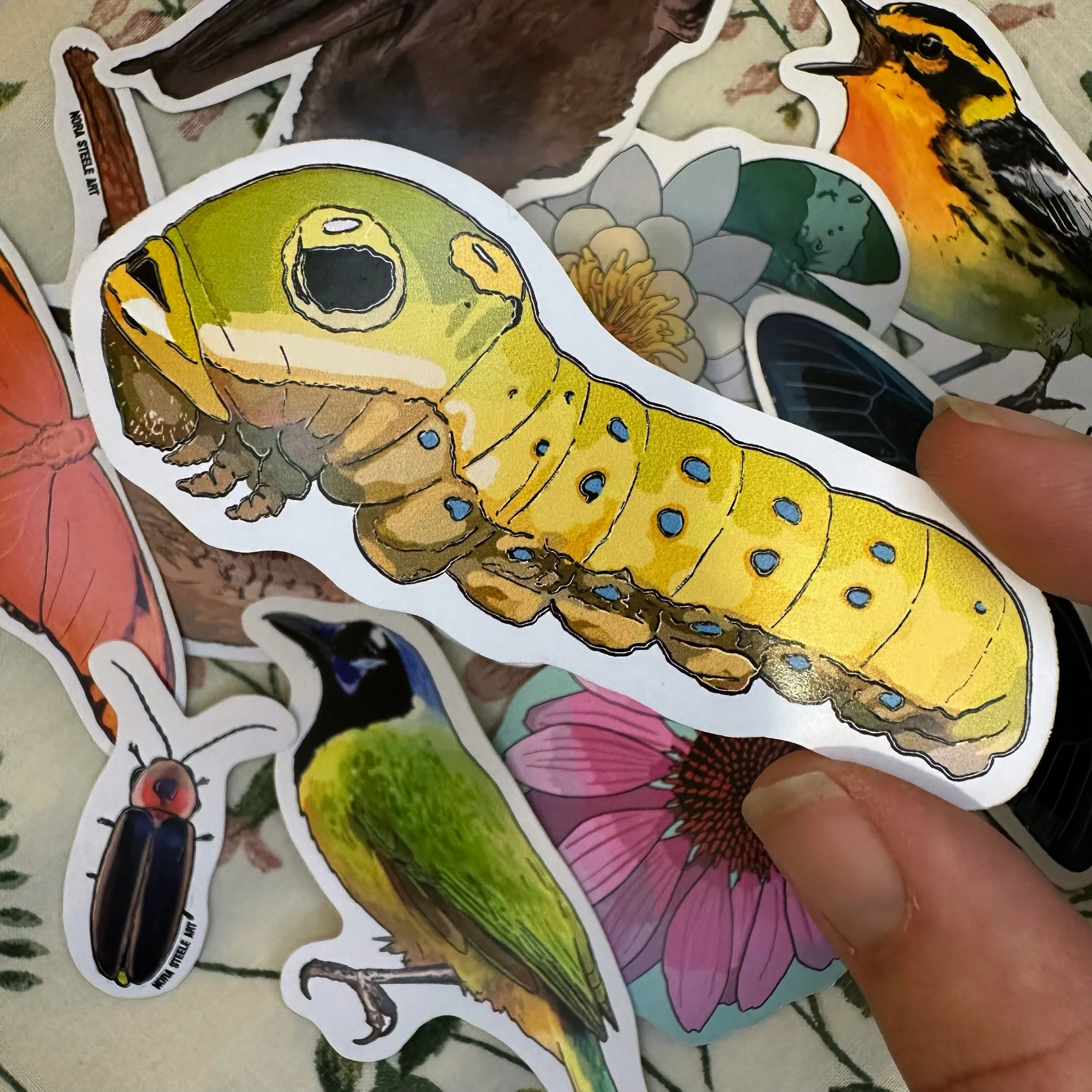 Spicebush swallowtail caterpillar sticker held above a pile of other stickers