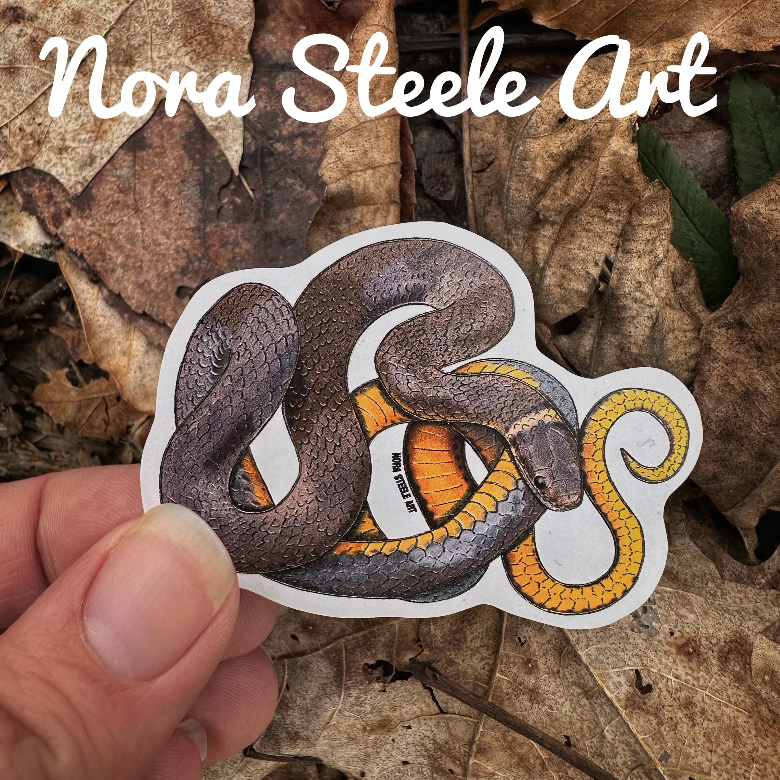 Ring-necked snake sticker on background of leaves