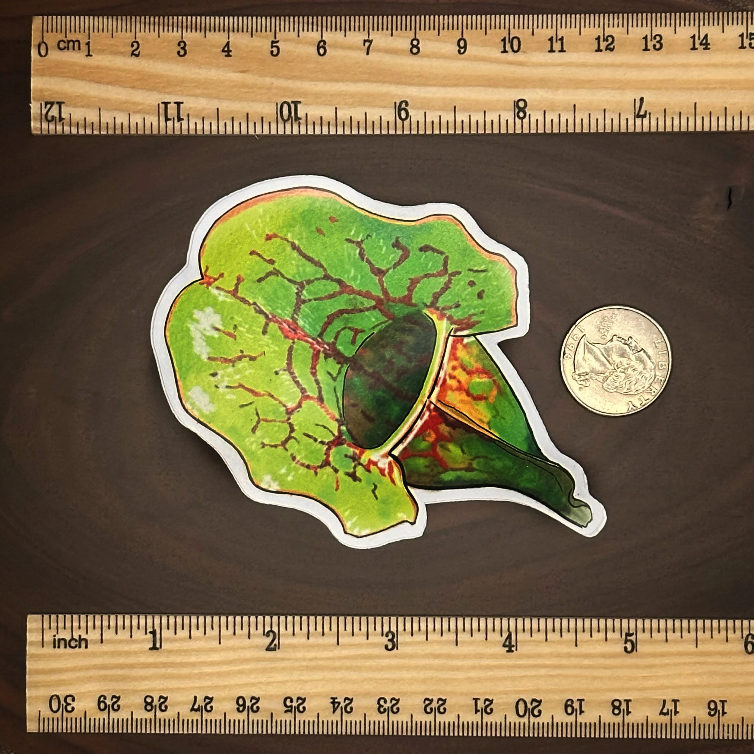 Purple pitcher plant sticker measuring about 2 1/2 inches wide
