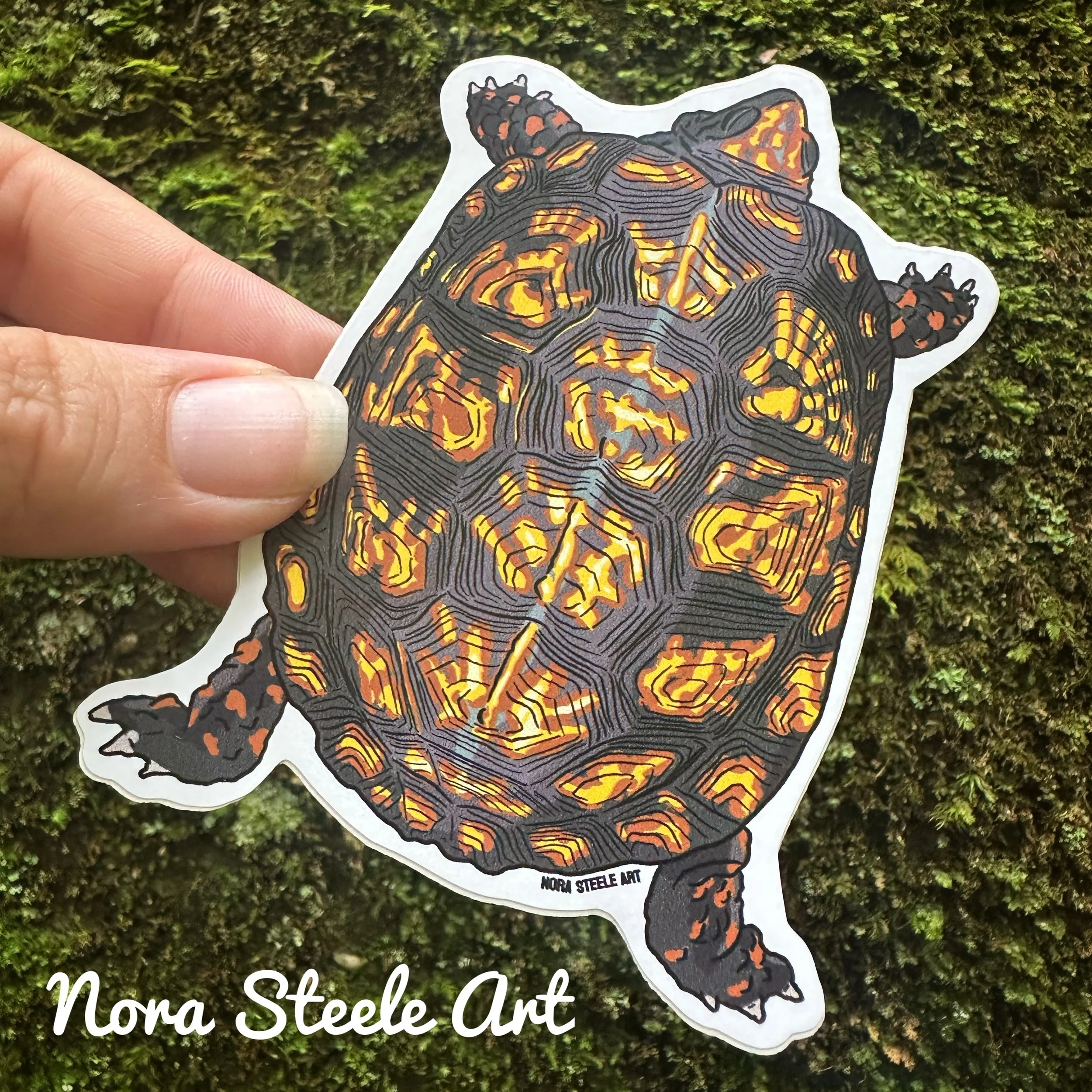 Eastern box turtle sticker crawling across moss