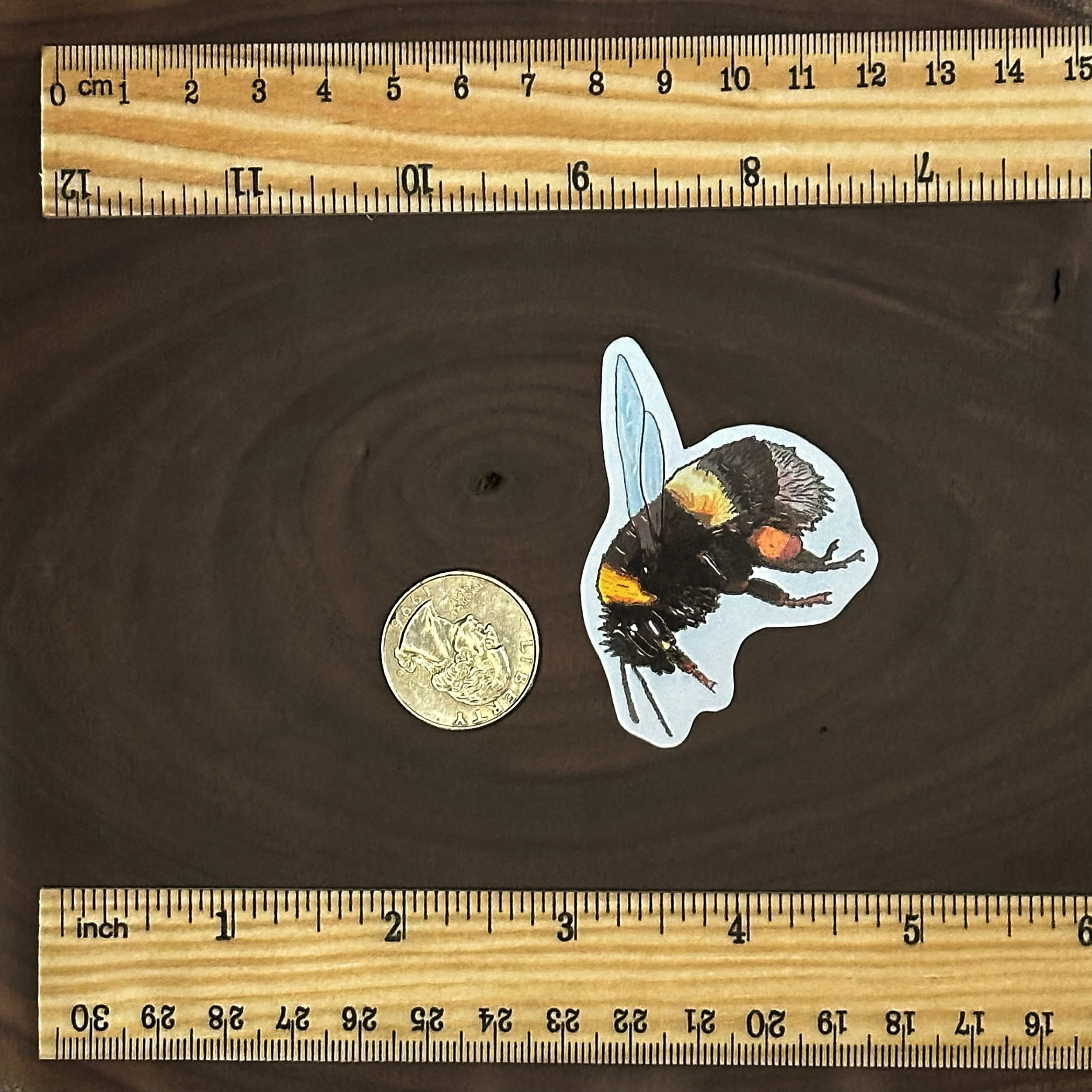 Bumblebee sticker with a quarter for scale