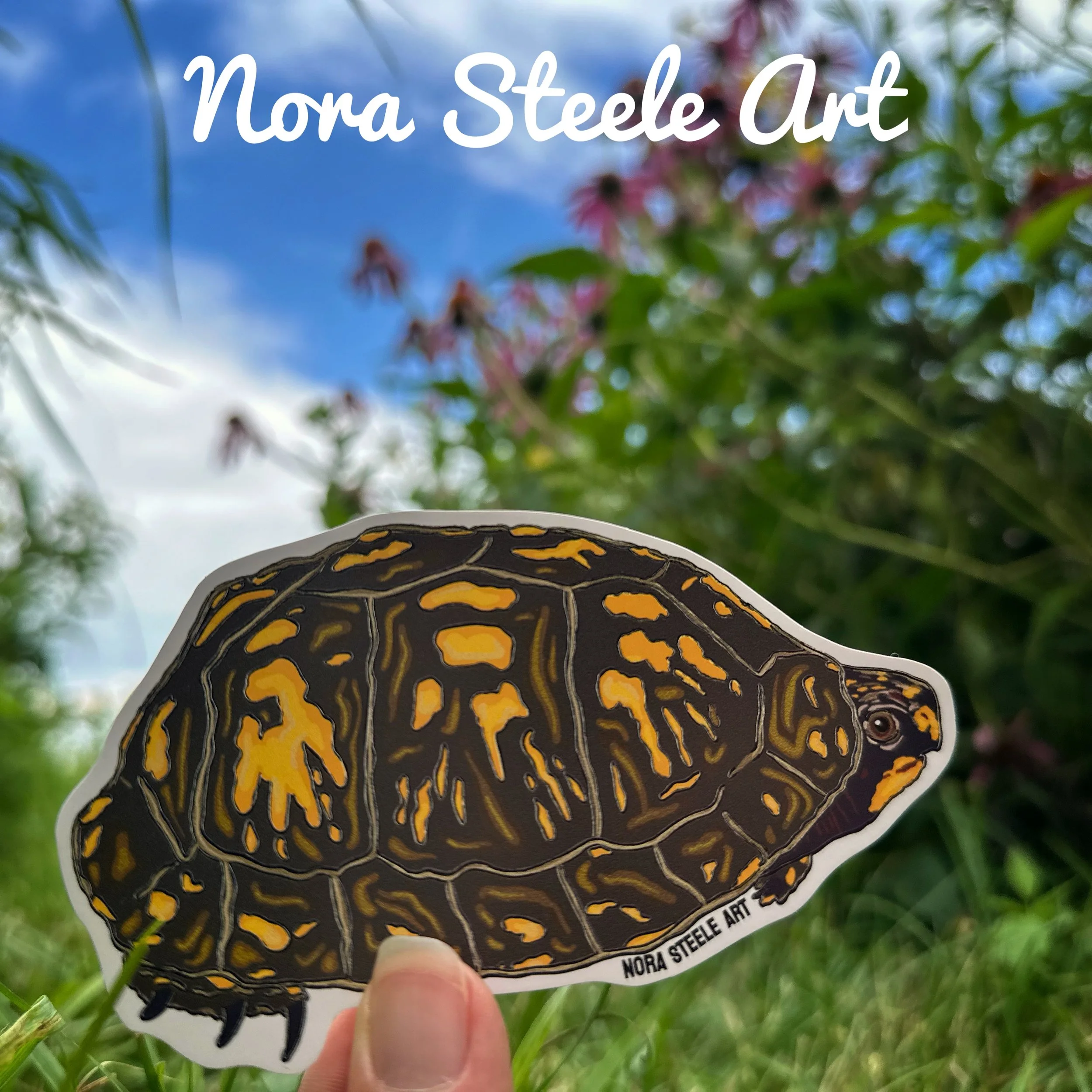 Easter box turtle sticker in field