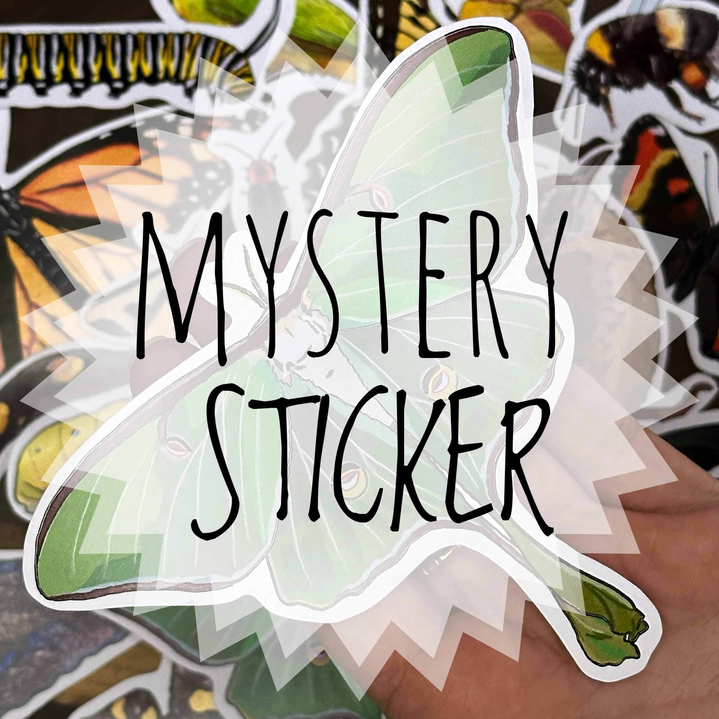 A luna moth sticker held above a pile of other stickers with text saying "mystery sticker"
