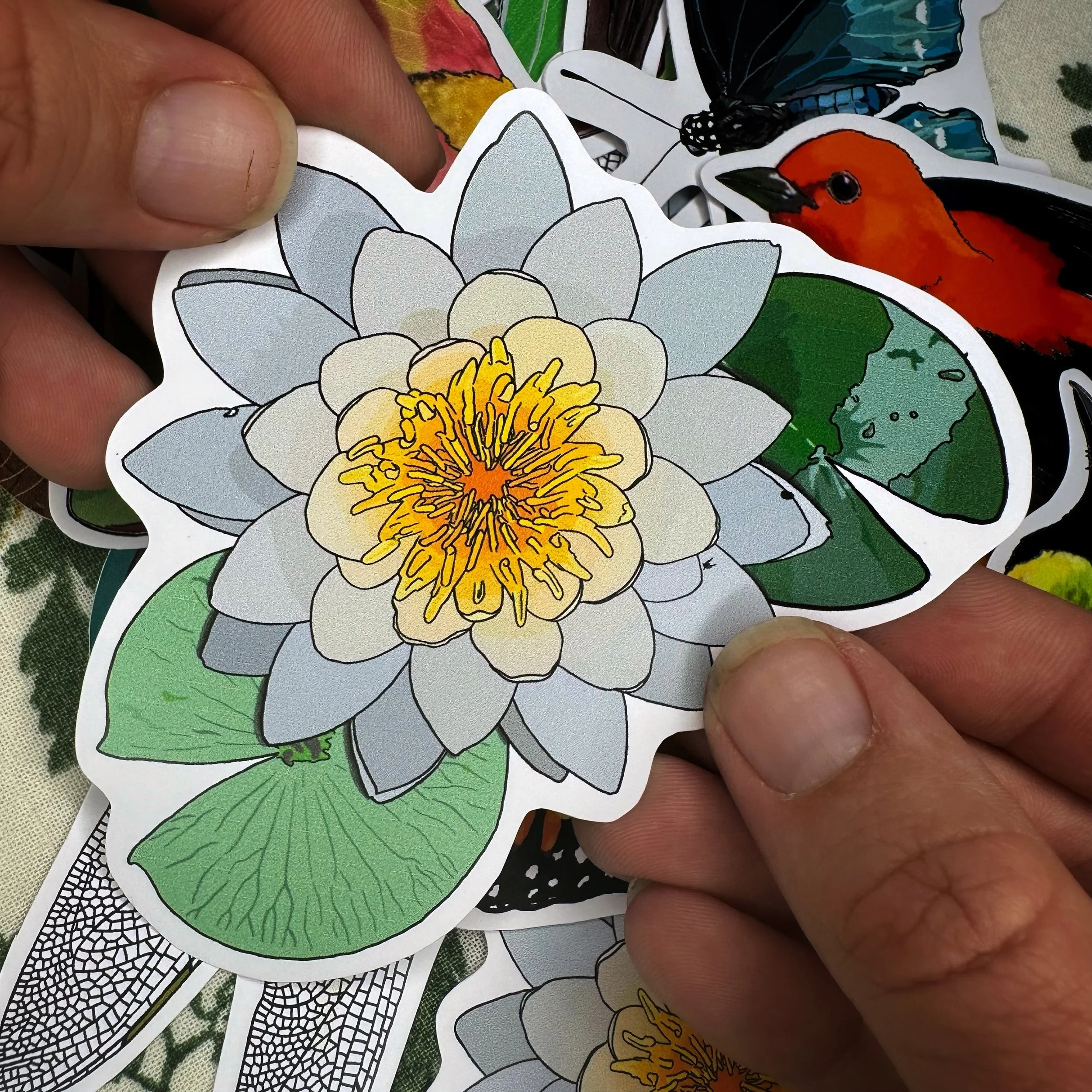 Sweet scented water lily sticker held above a pile of other stickers