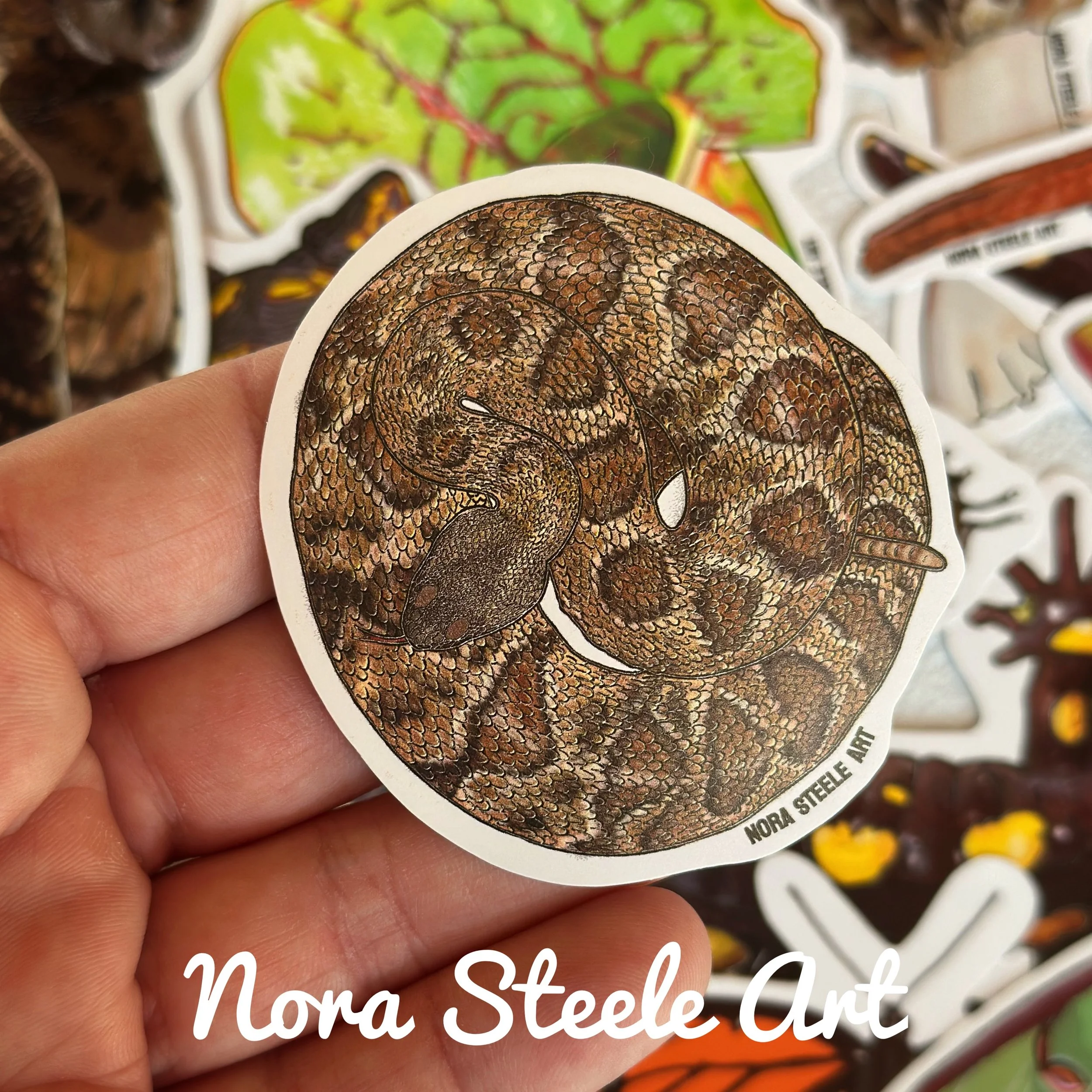 Timber rattlesnake sticker in hand