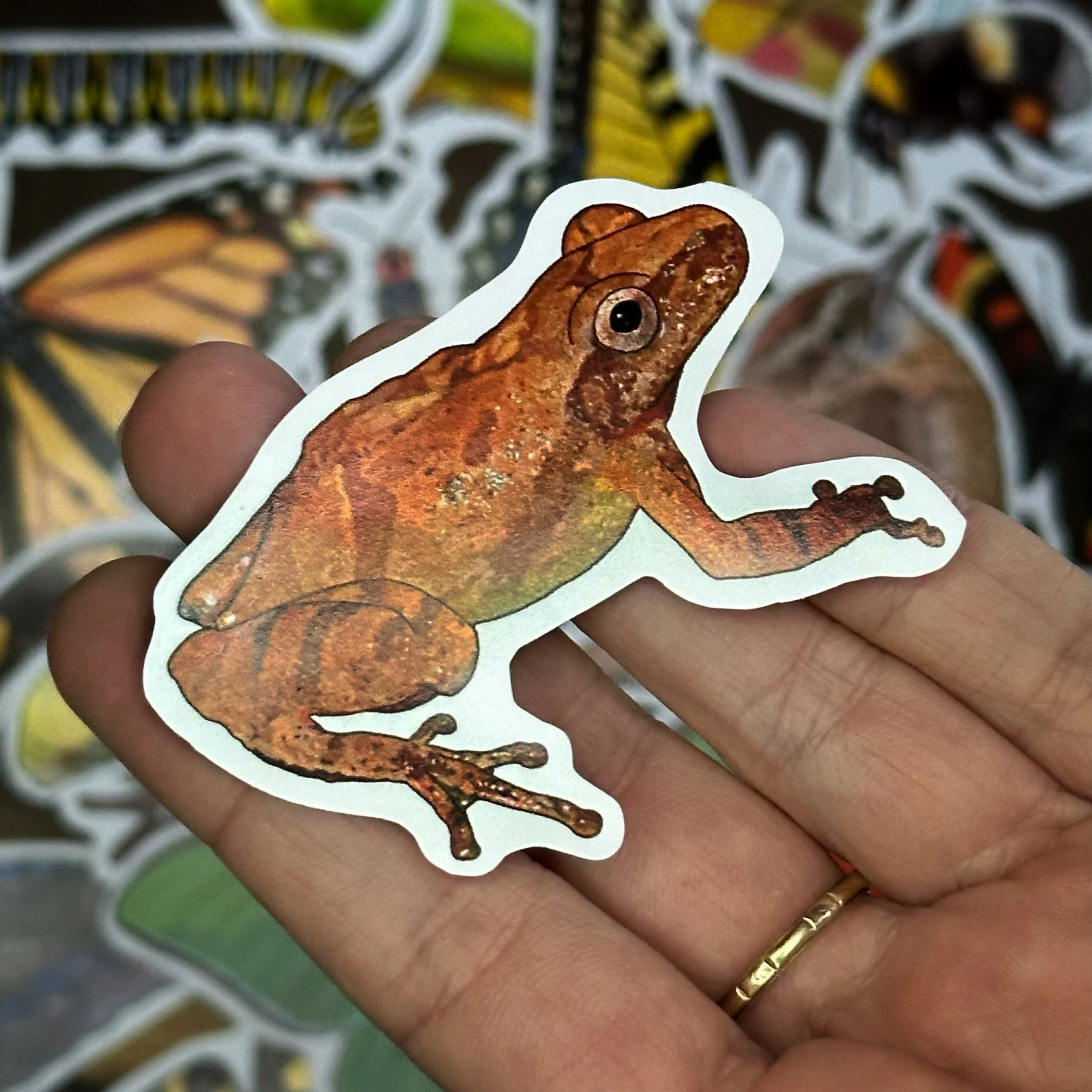Spring peeper sticker held above a pile of other stickers