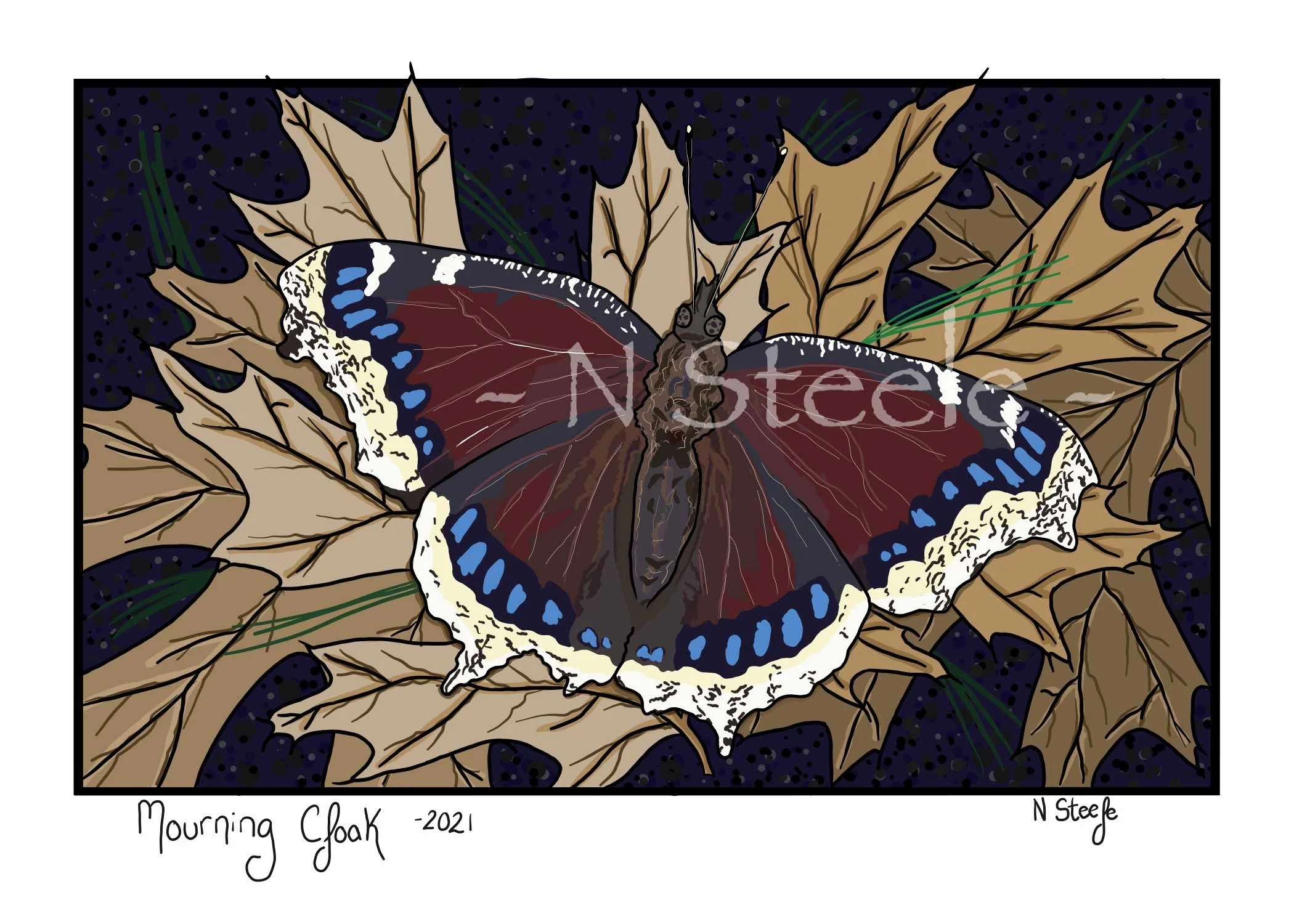 Mourning Cloak Butterfly