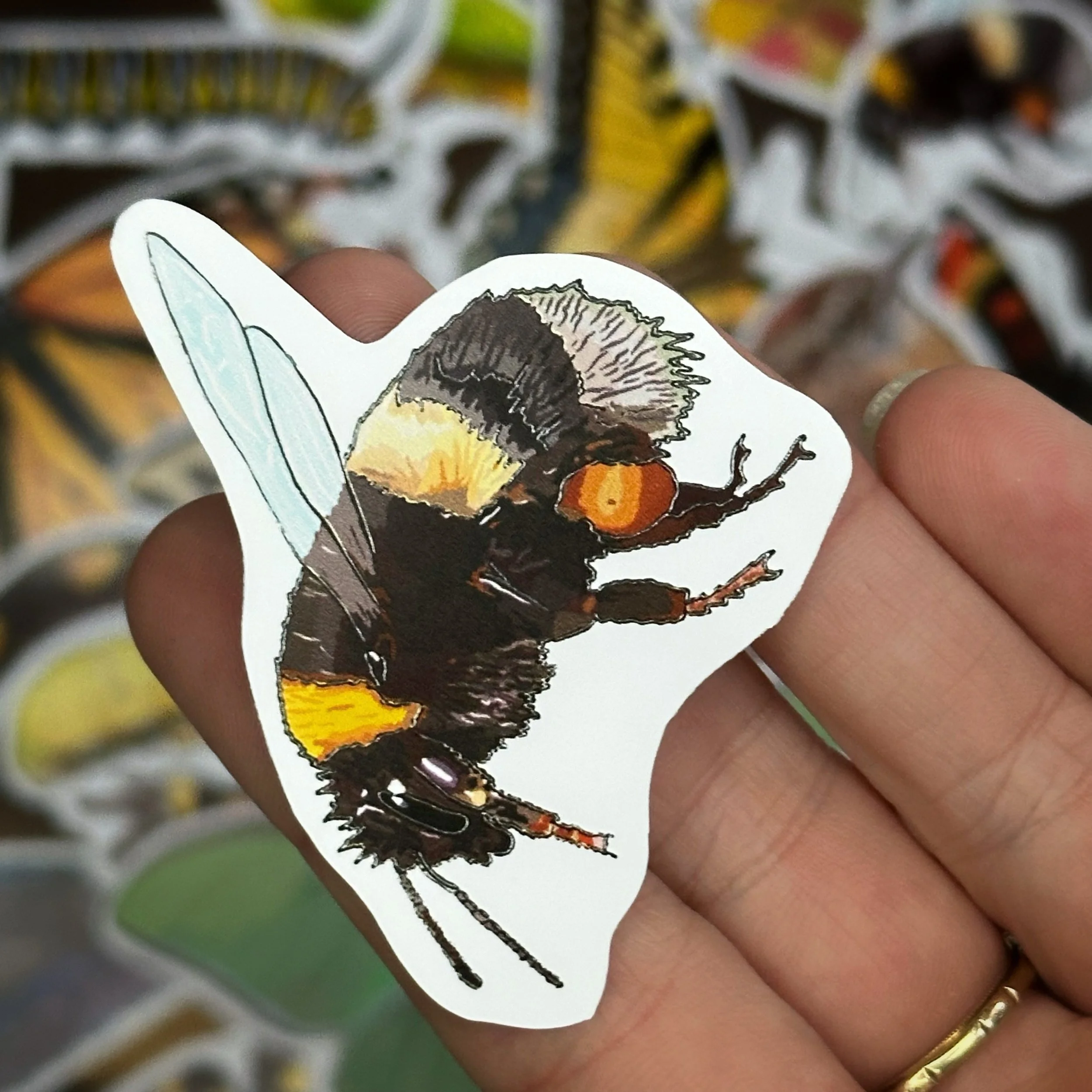 Bumblebee sticker held above a pile of other stickers