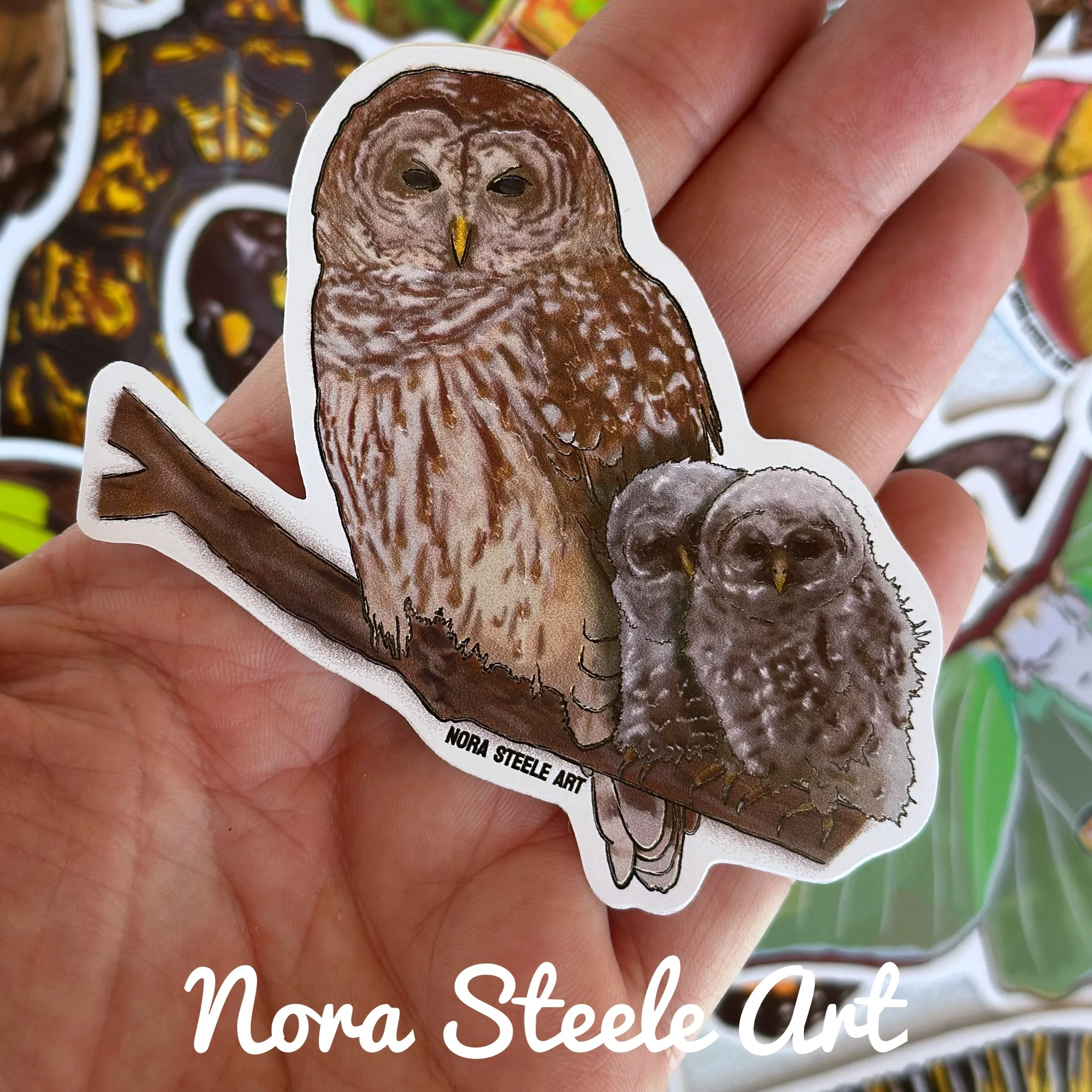 Waterproof Sticker - Barred Owl