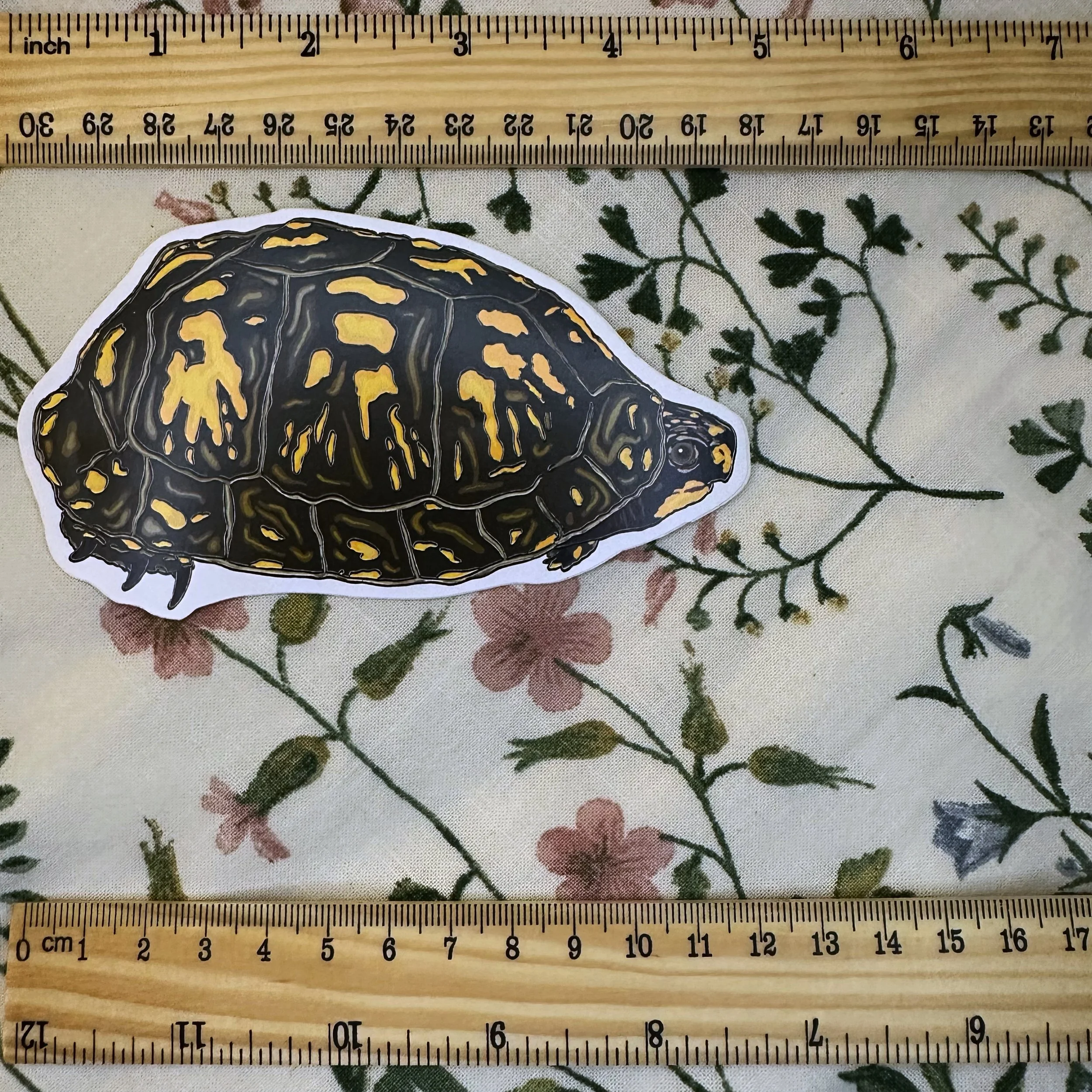 Easter box turtle sticker measuring about 5 inches long